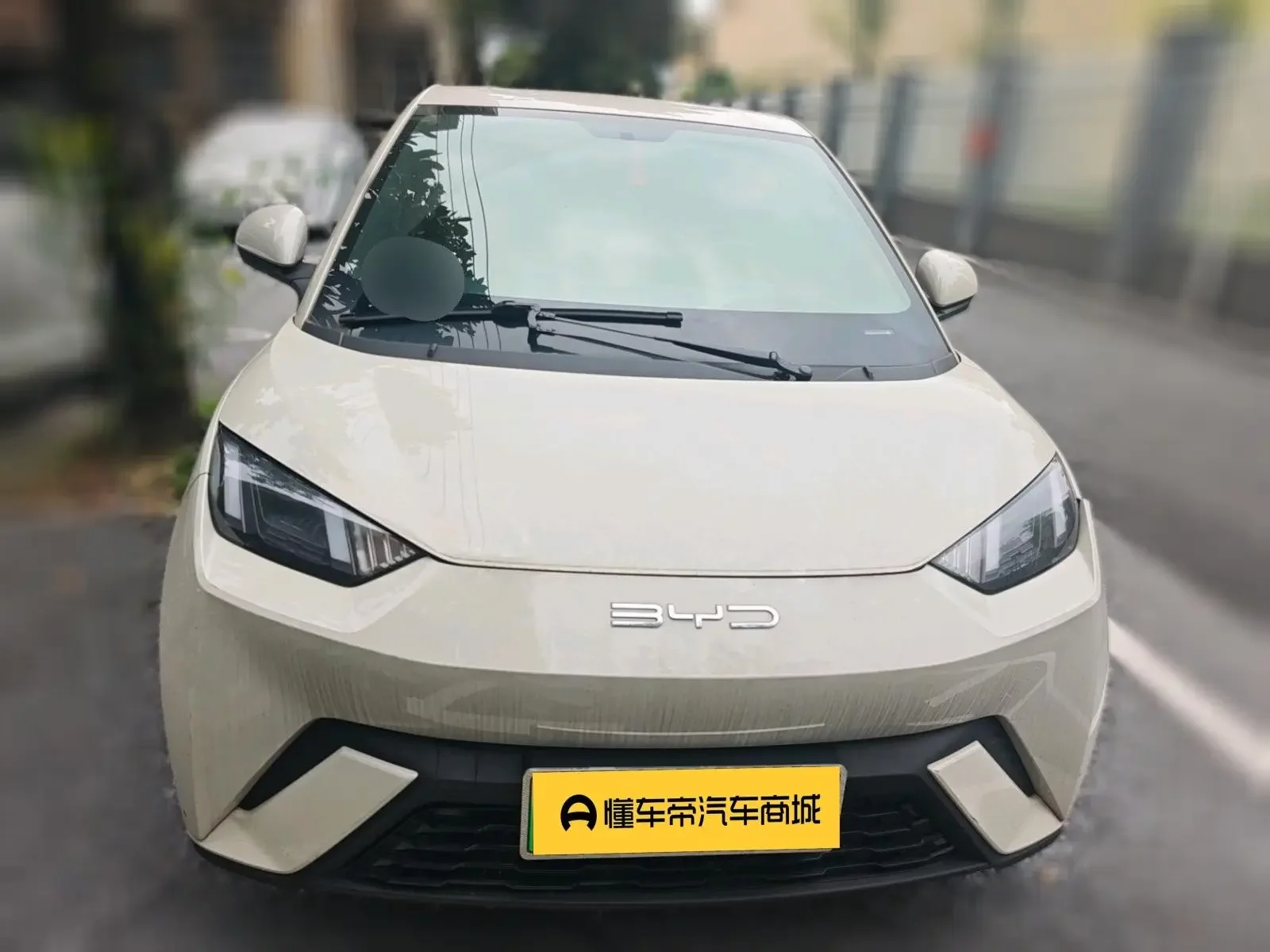 BYD seagull