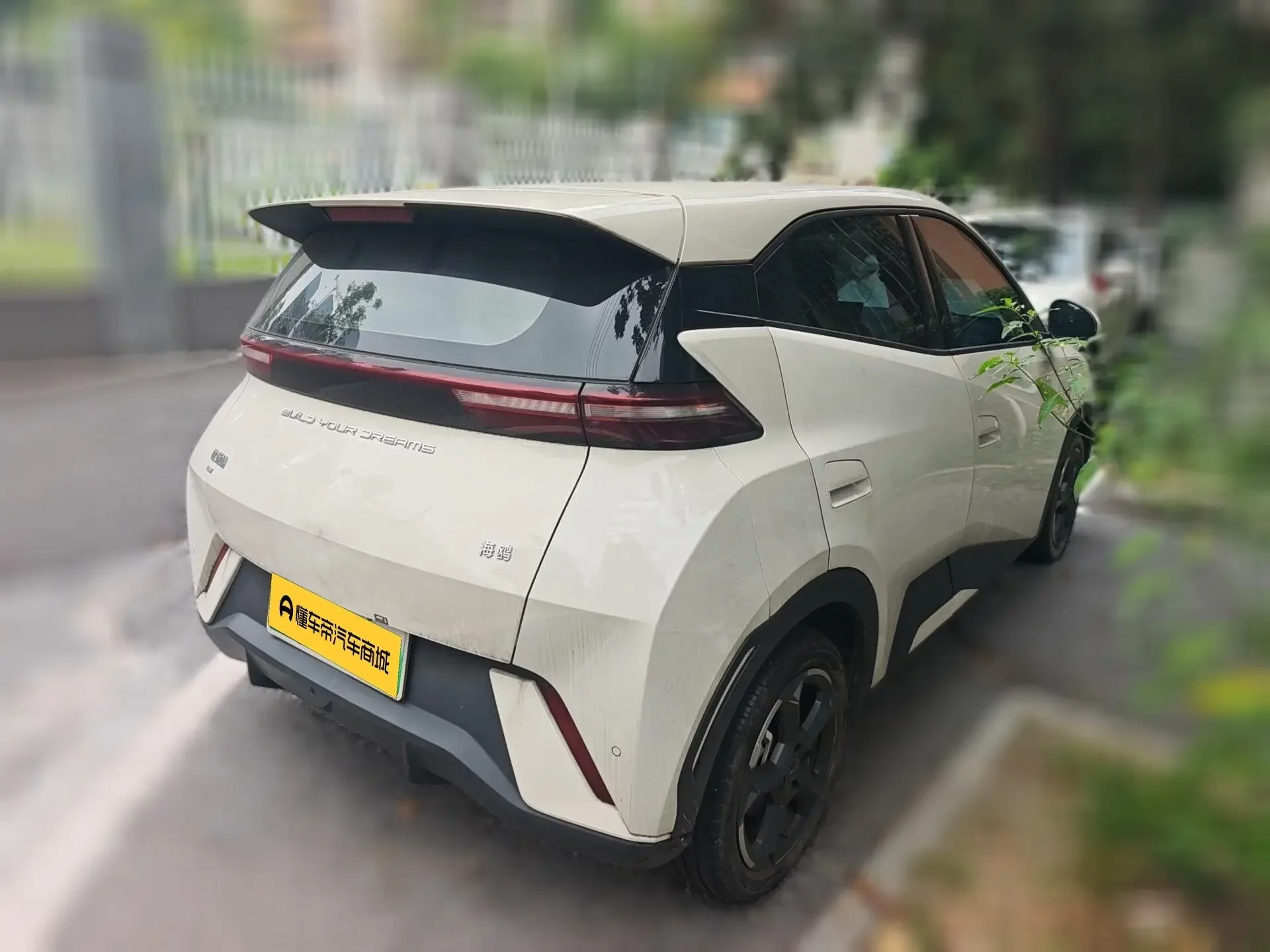 BYD seagull
