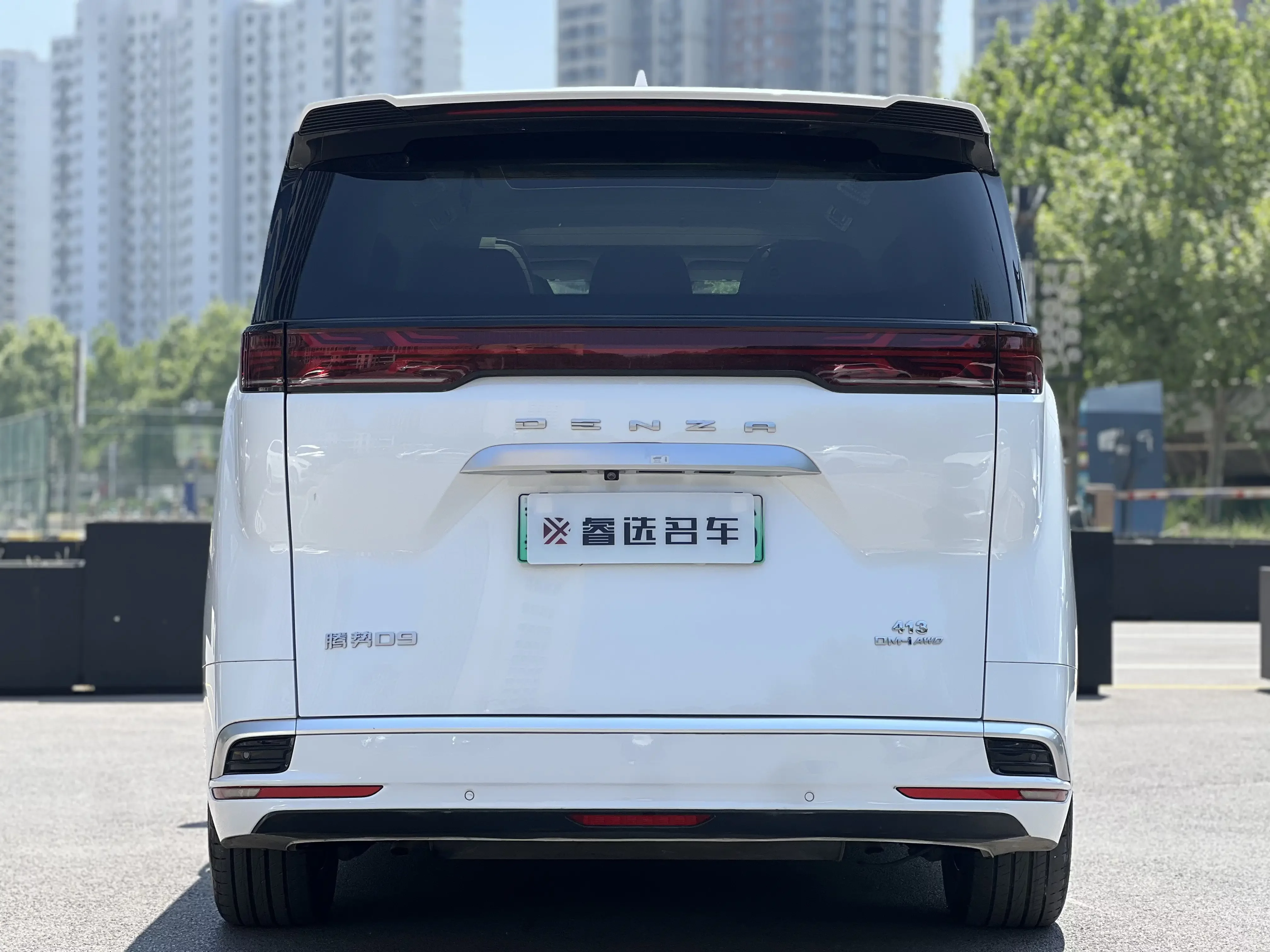 Denza D9 DM