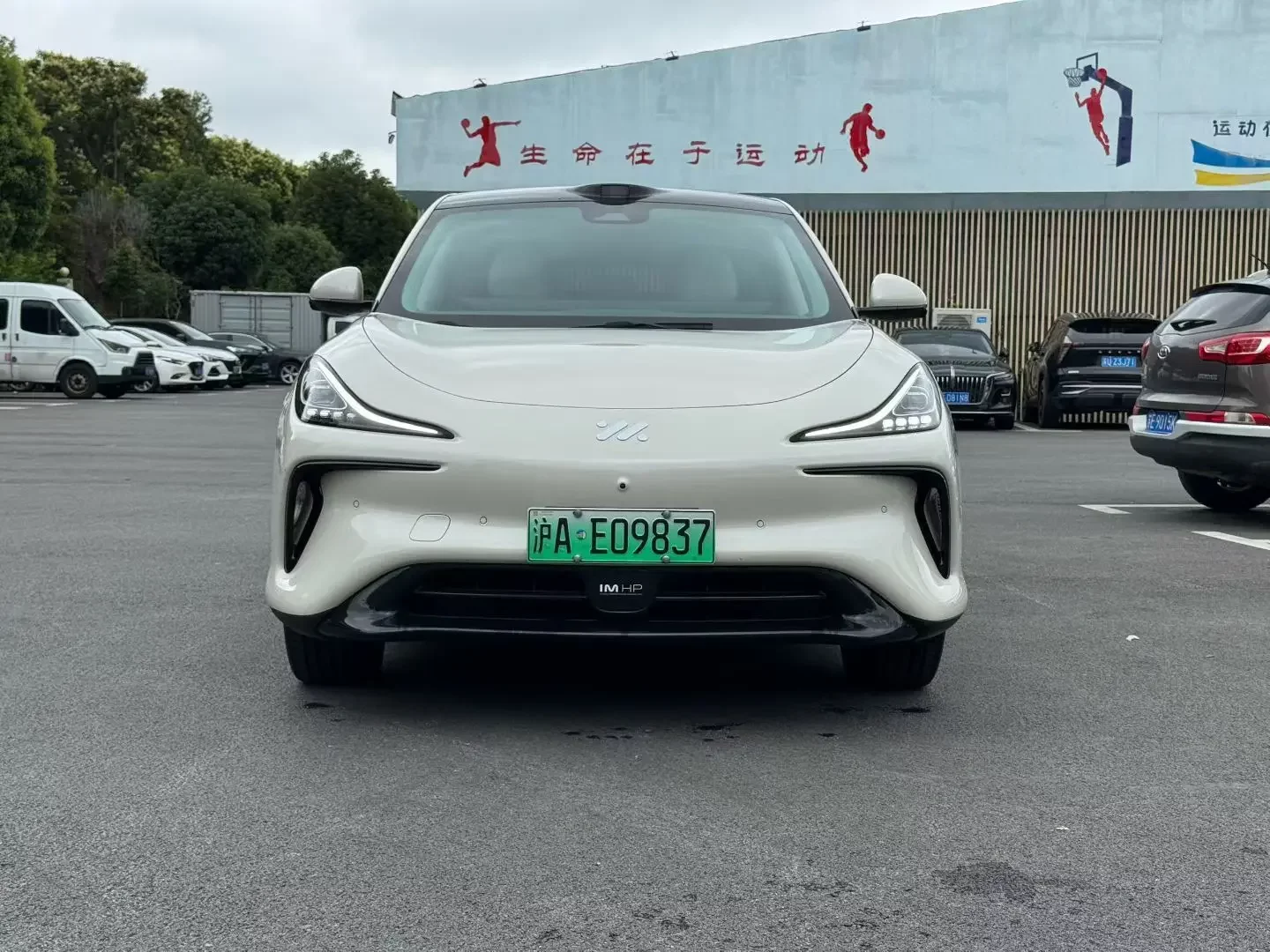 Zhiji LS6  из Китая