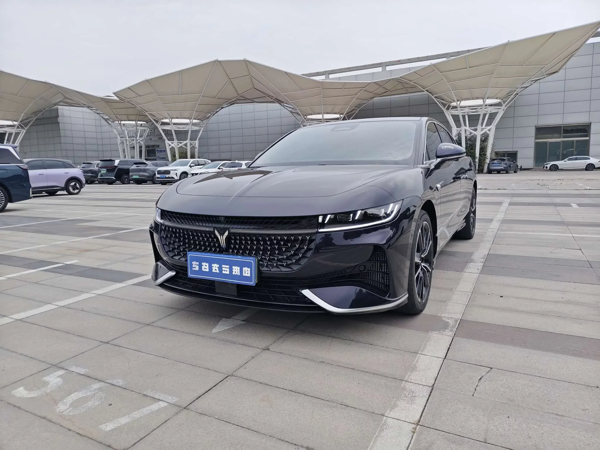 Voyah Passion PHEV