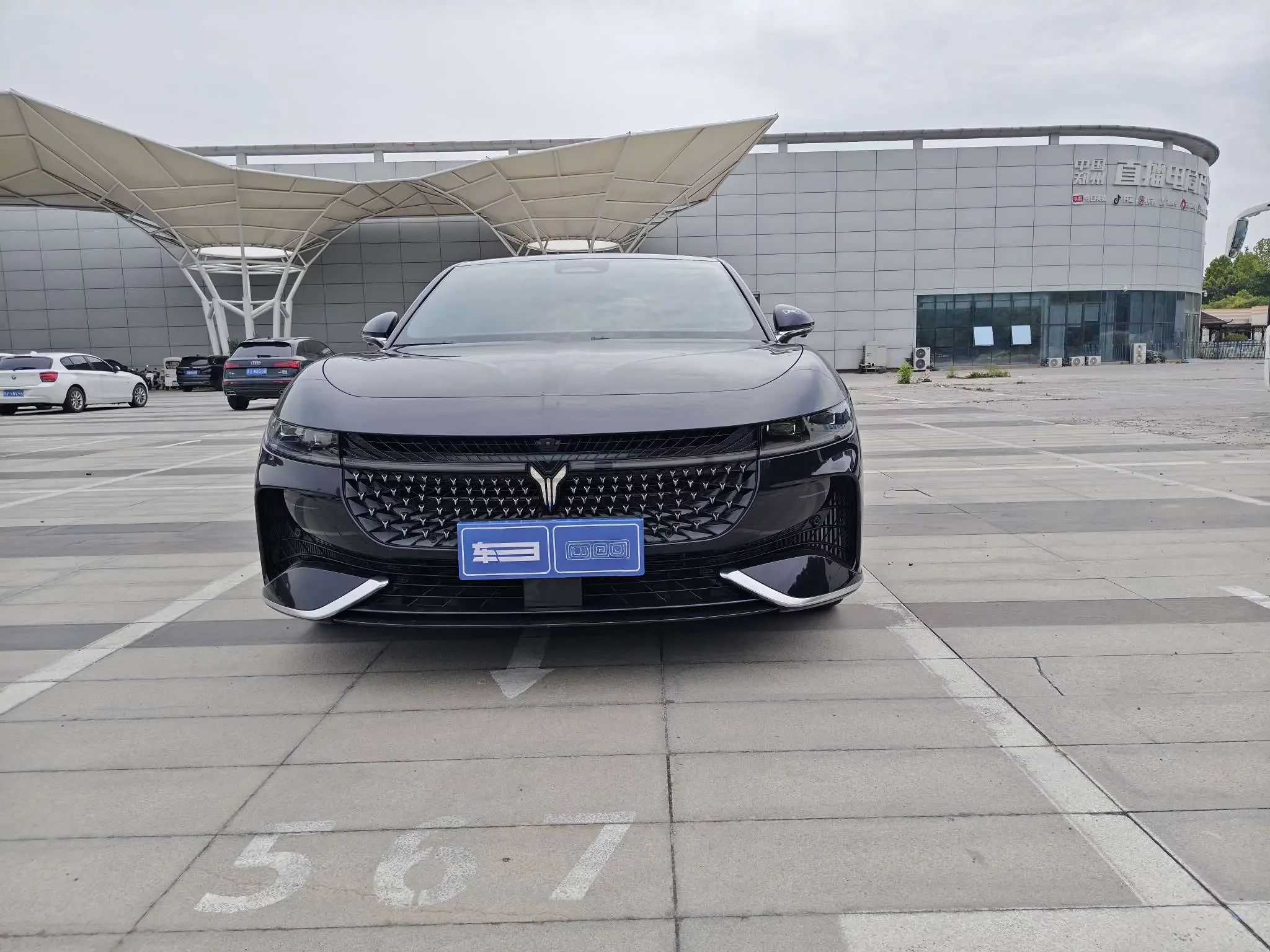 Voyah Passion PHEV