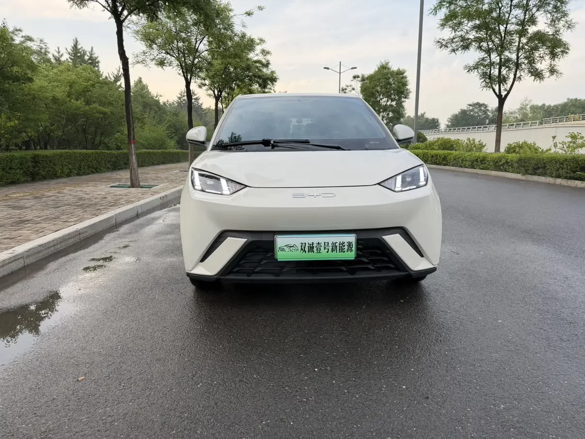 BYD seagull