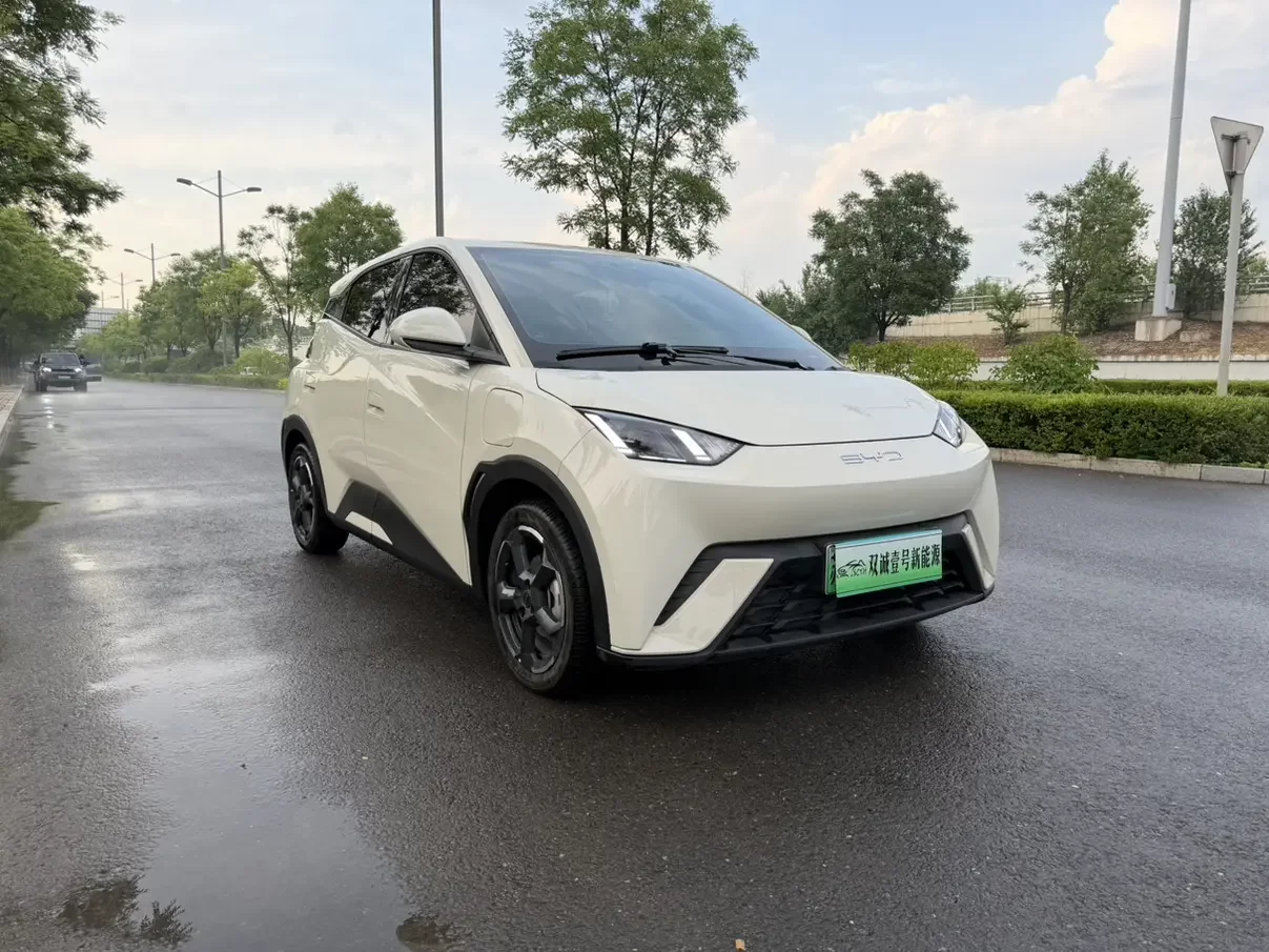 BYD seagull