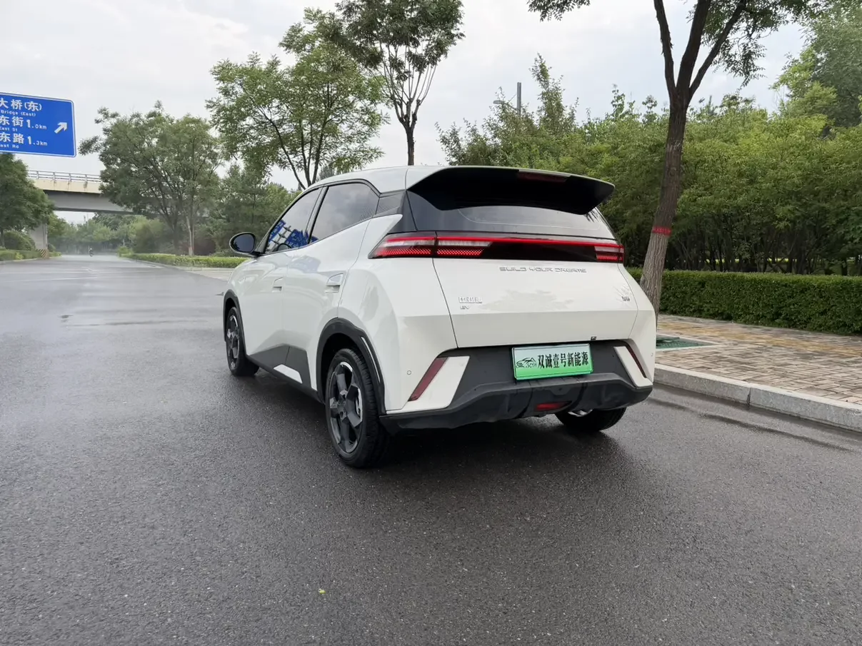 BYD seagull