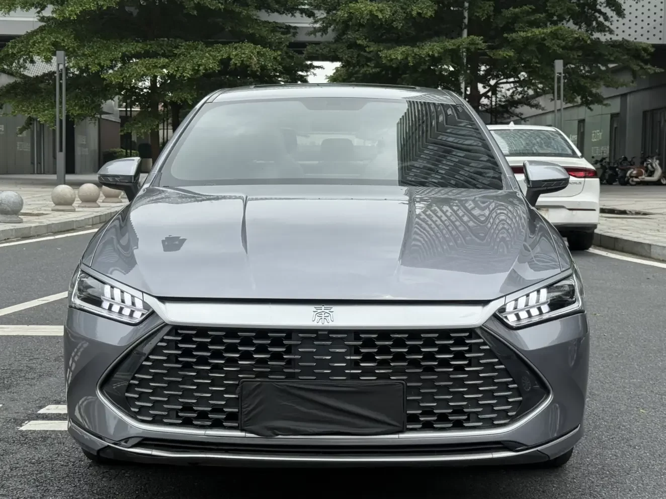 BYD Qin PLUS DM