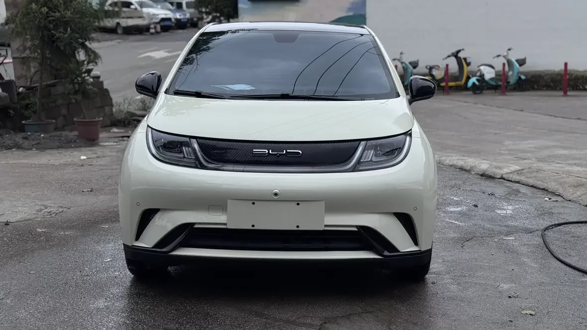 BYD dolphin
