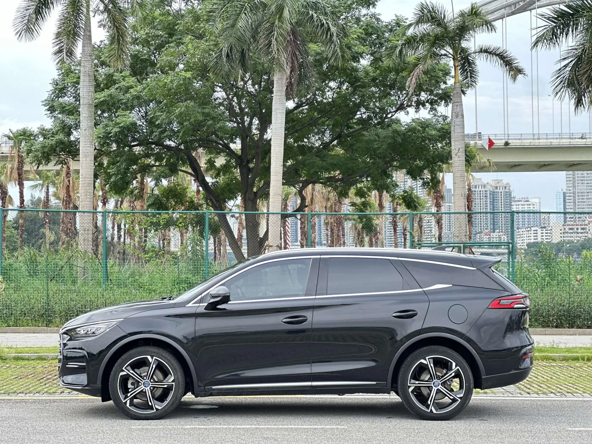 BYD Tang DM