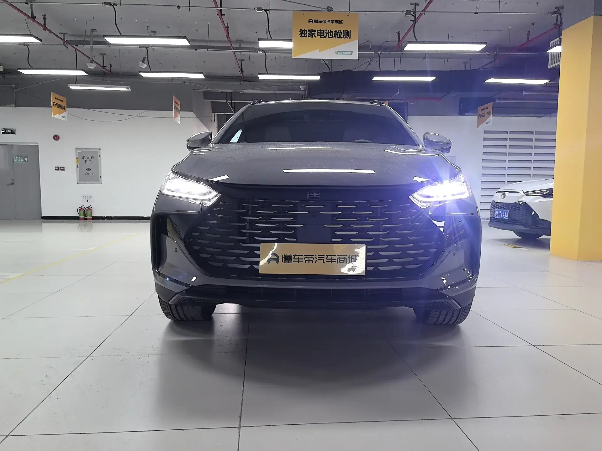 BYD Tang DM