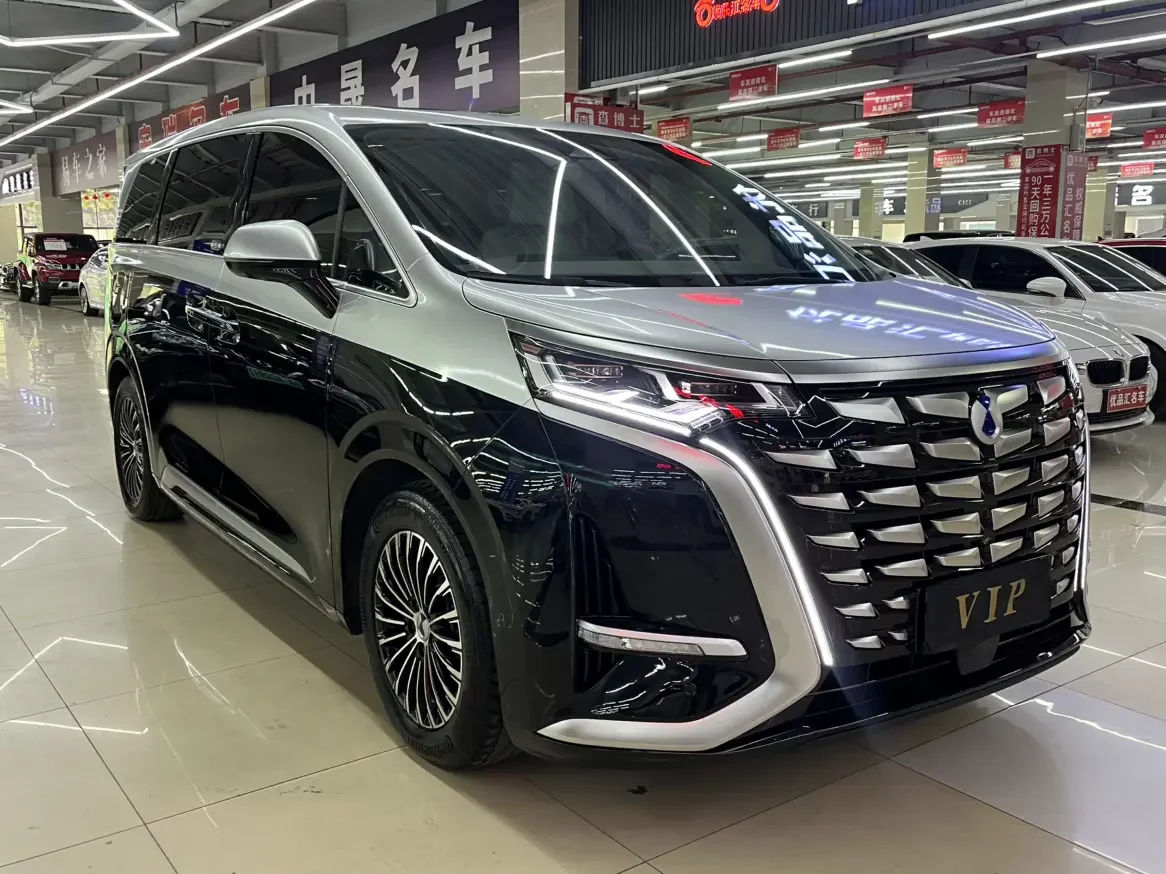 Denza D9 DM