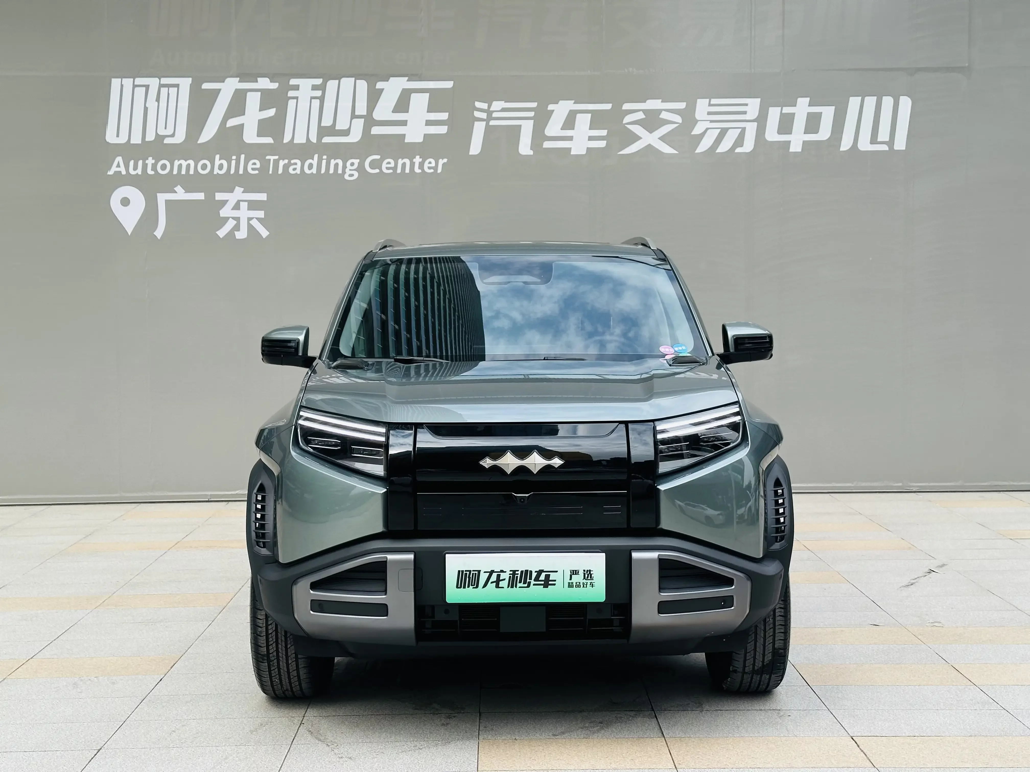 BYD Leopard Titanium 3