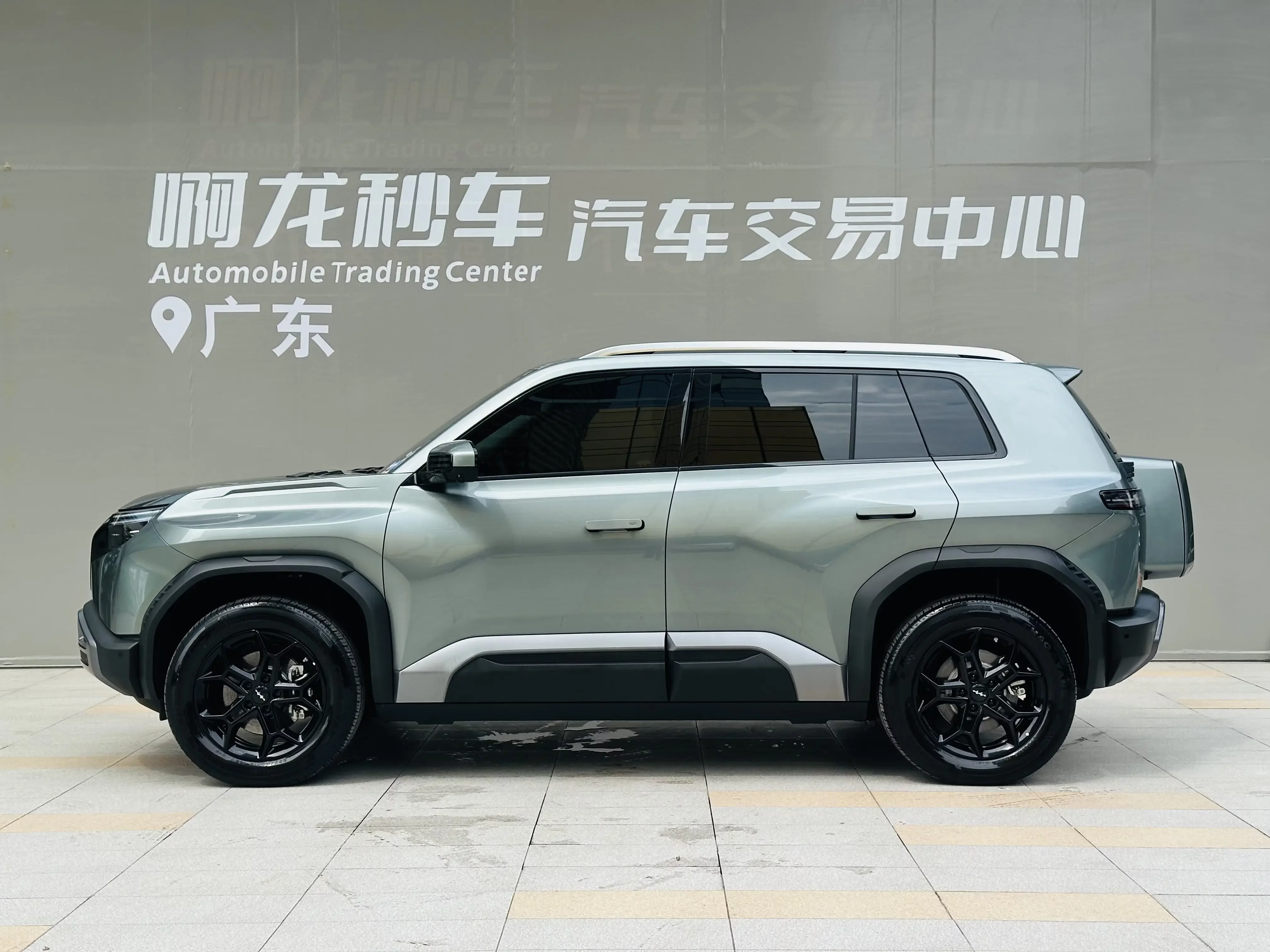 BYD Leopard Titanium 3