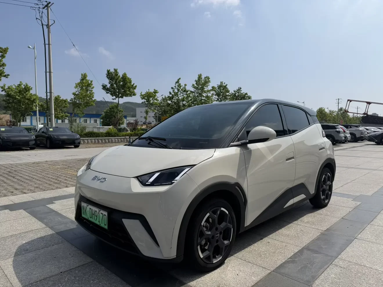 BYD seagull