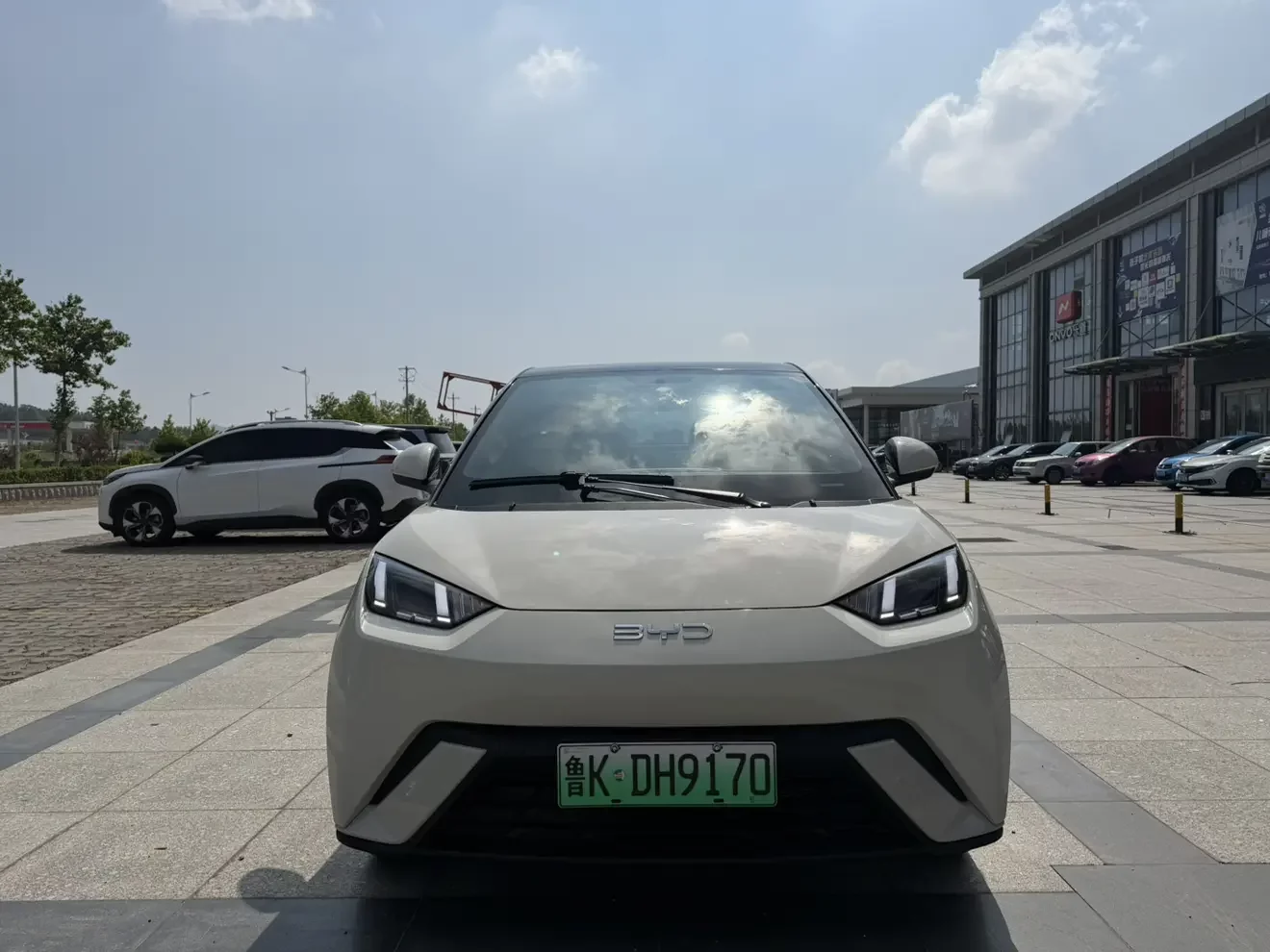 BYD seagull
