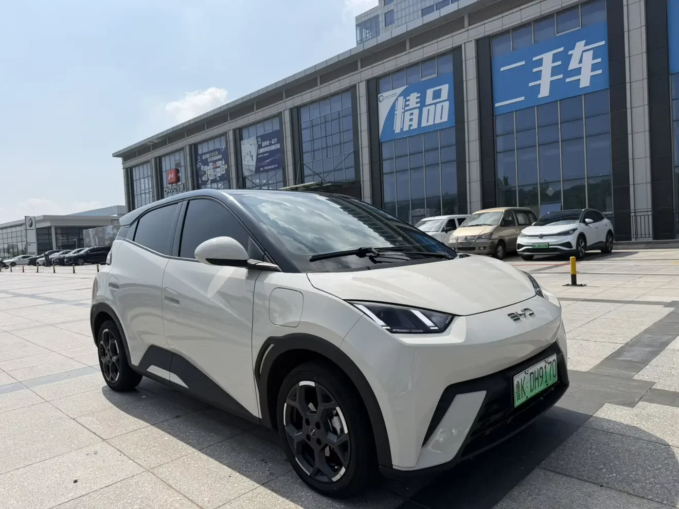 BYD seagull