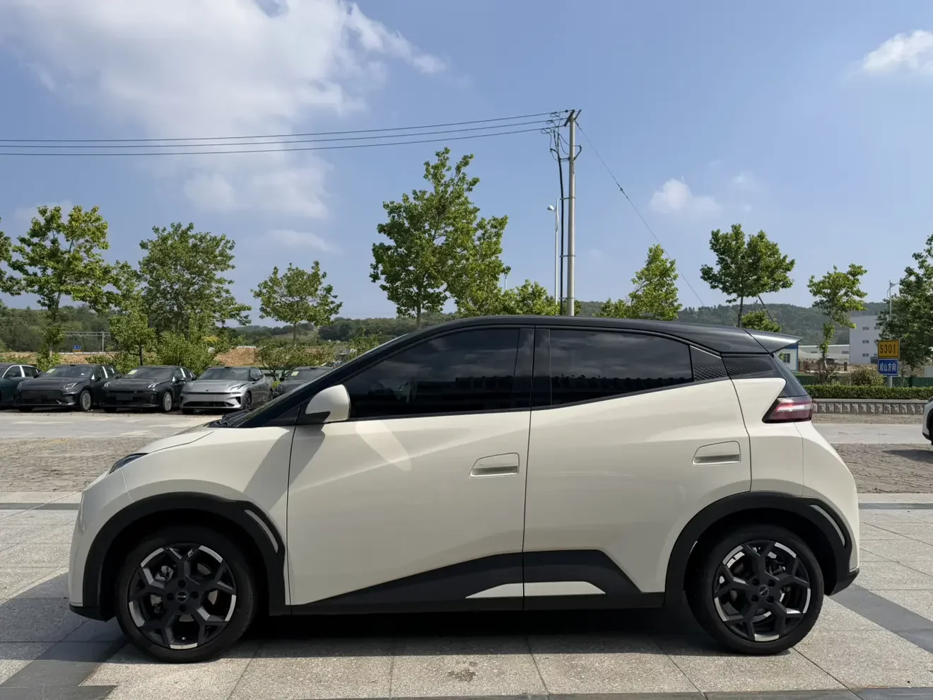BYD seagull
