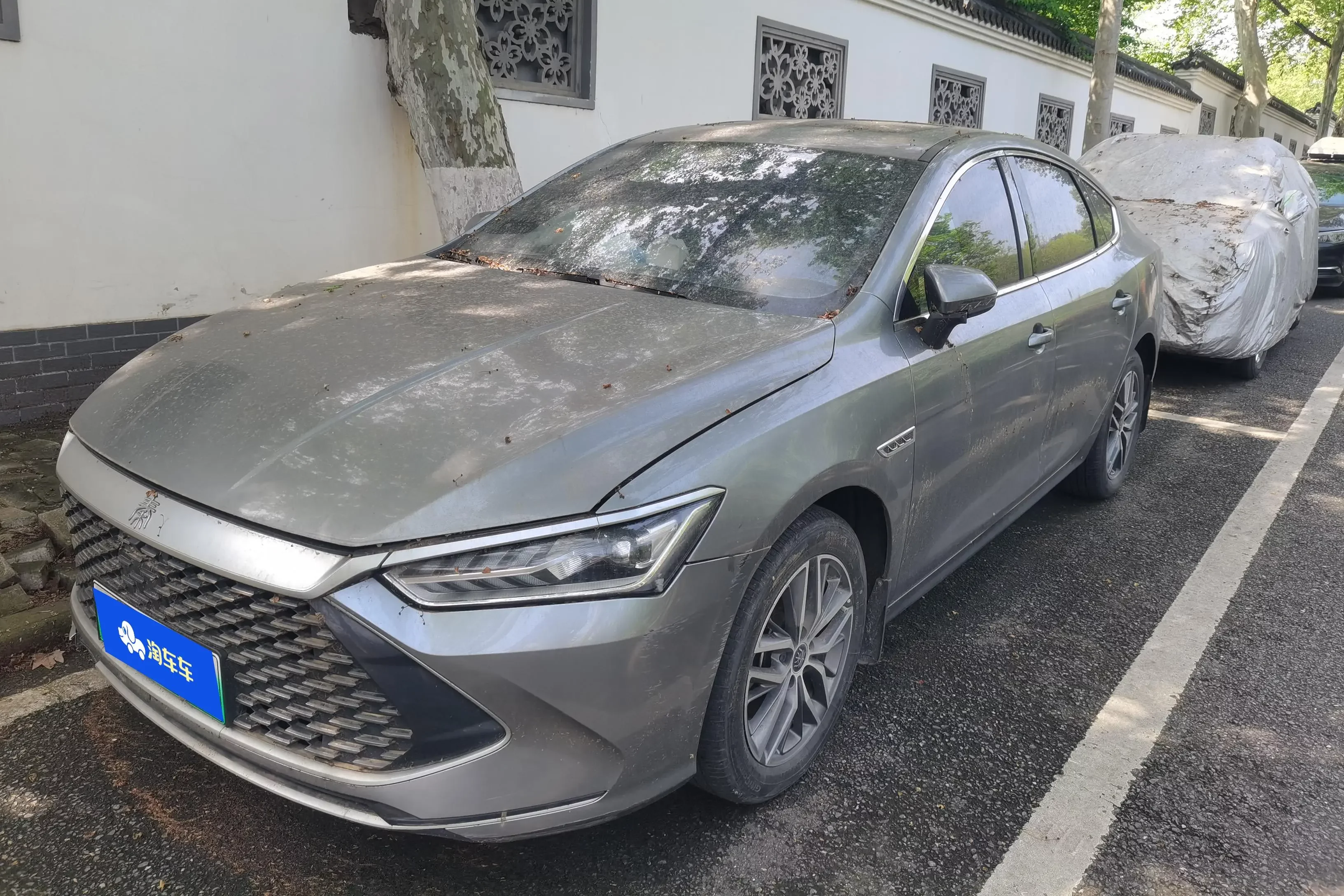 BYD Qin PLUS DM