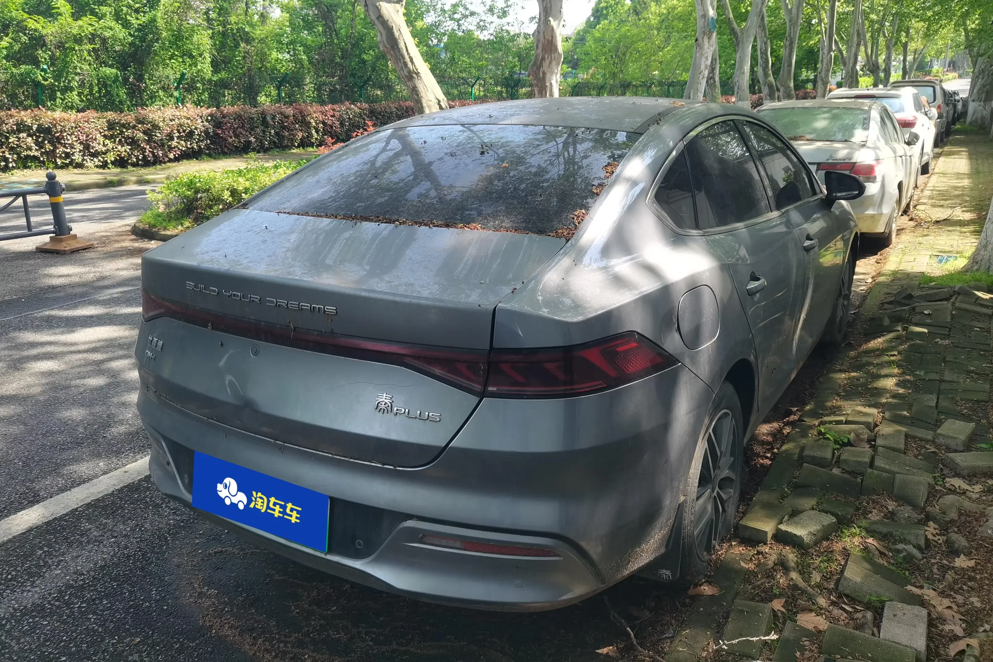 BYD Qin PLUS DM