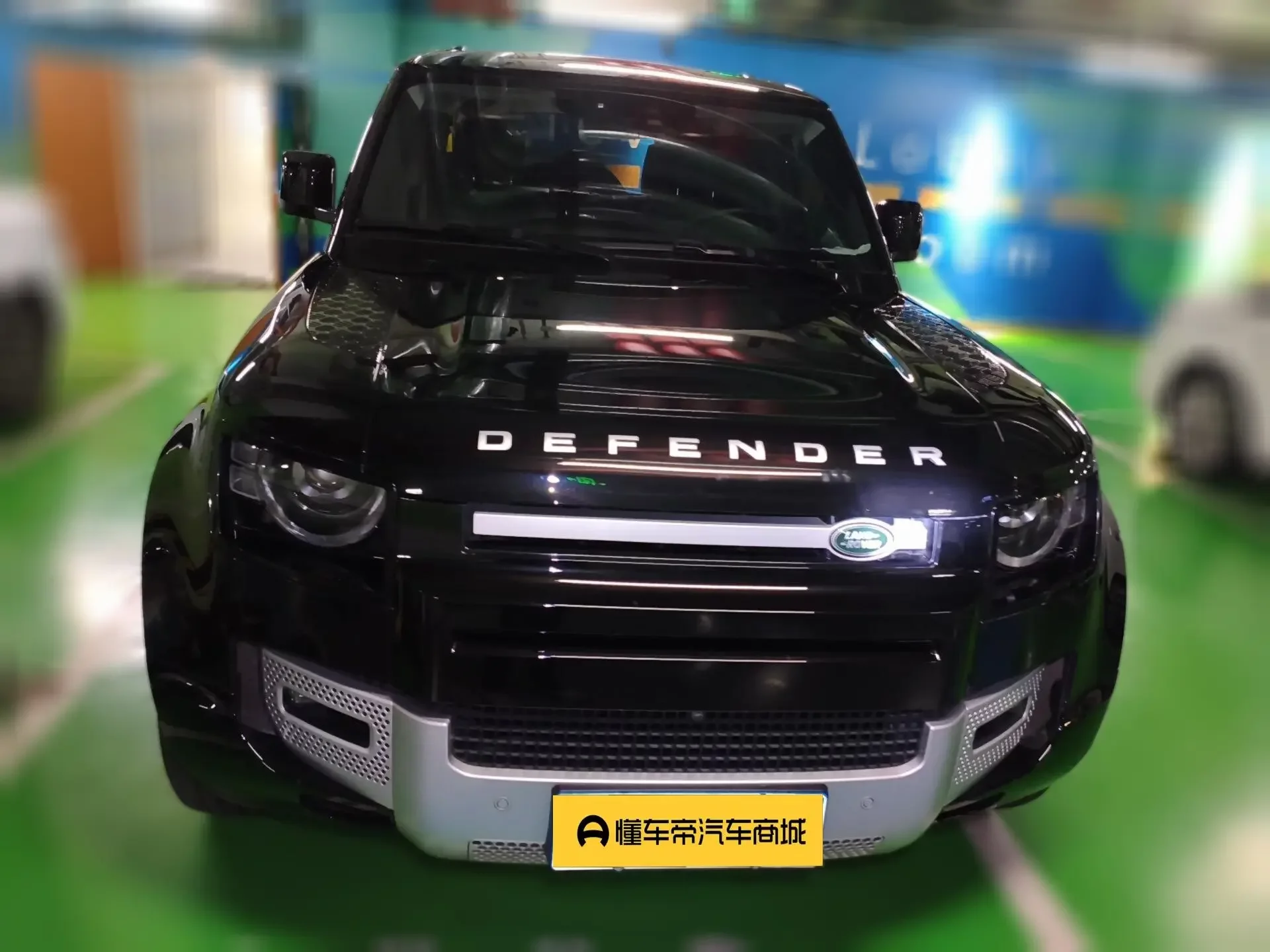 Land Rover guard