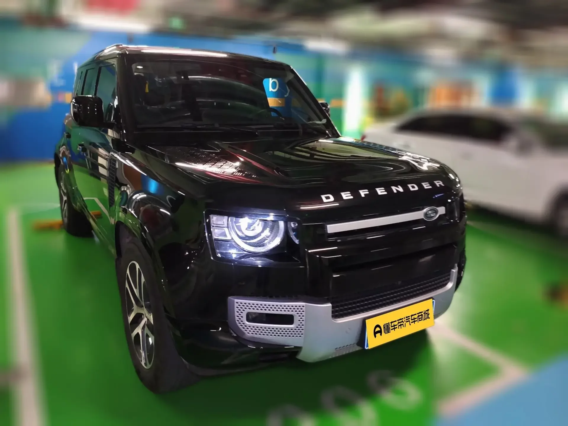 Land Rover guard