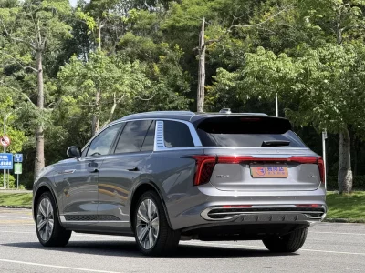 Hongqi E-HS9
