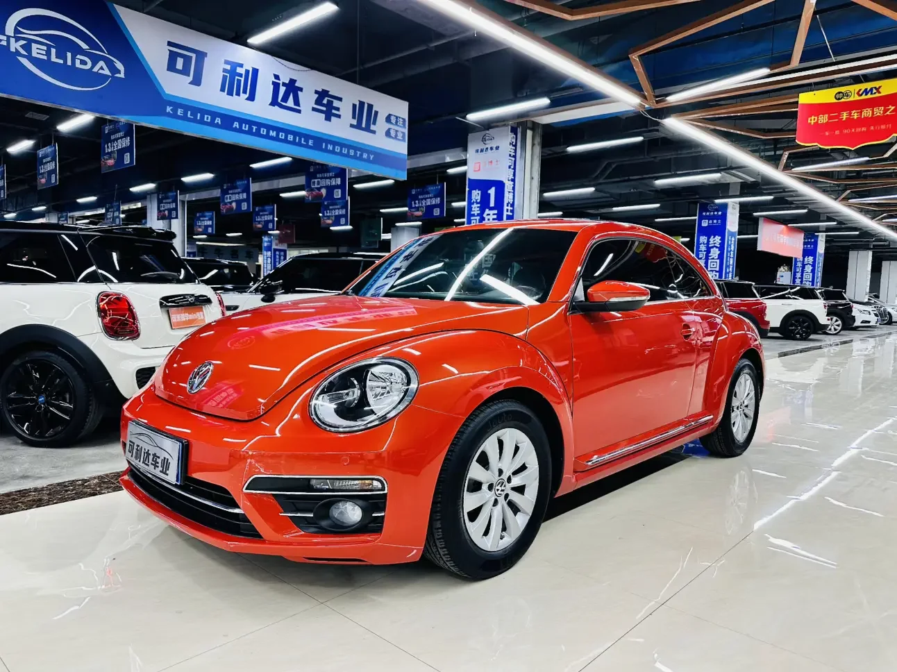 Volkswagen Beetle