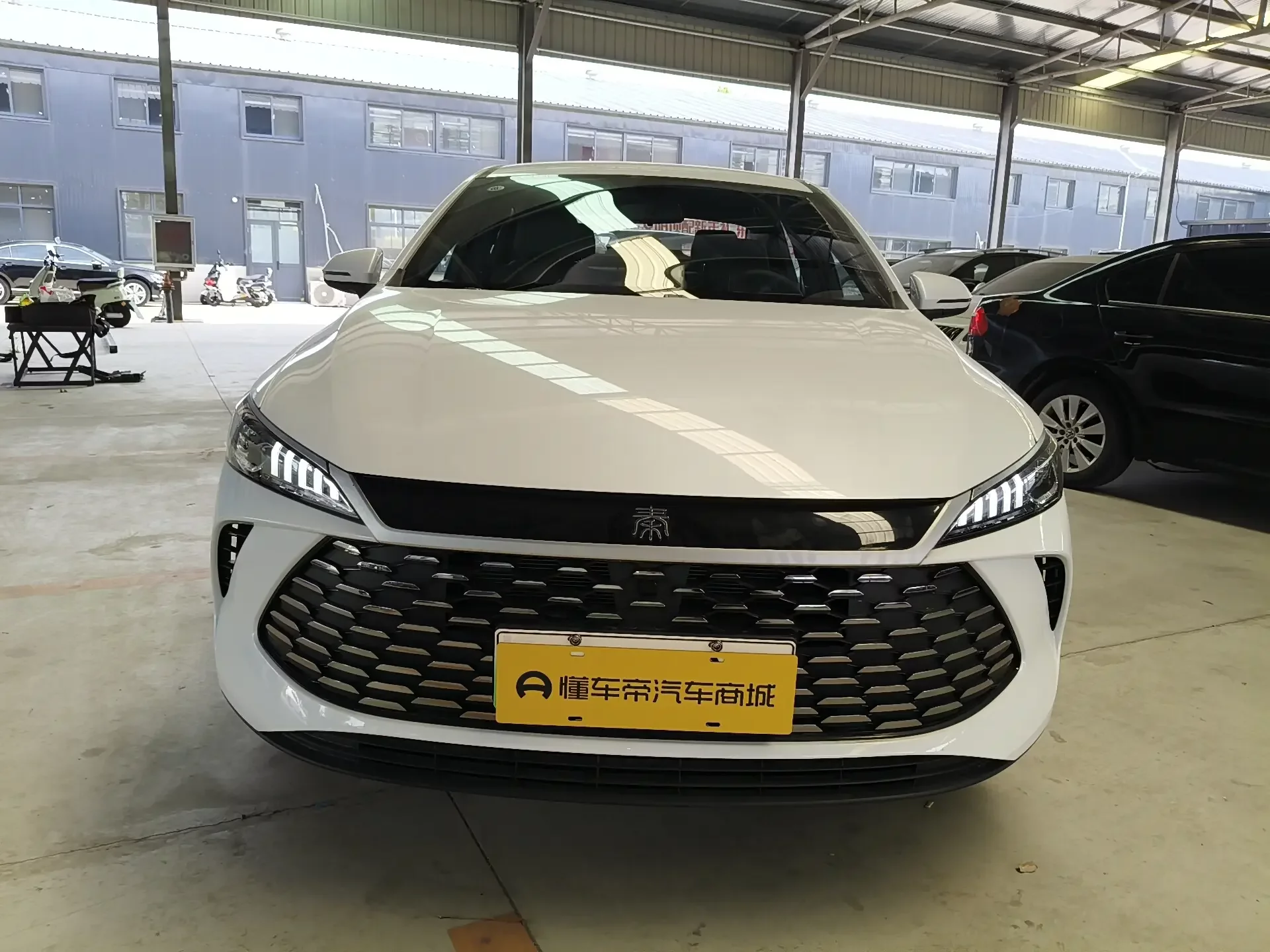 BYD Qin PLUS DM