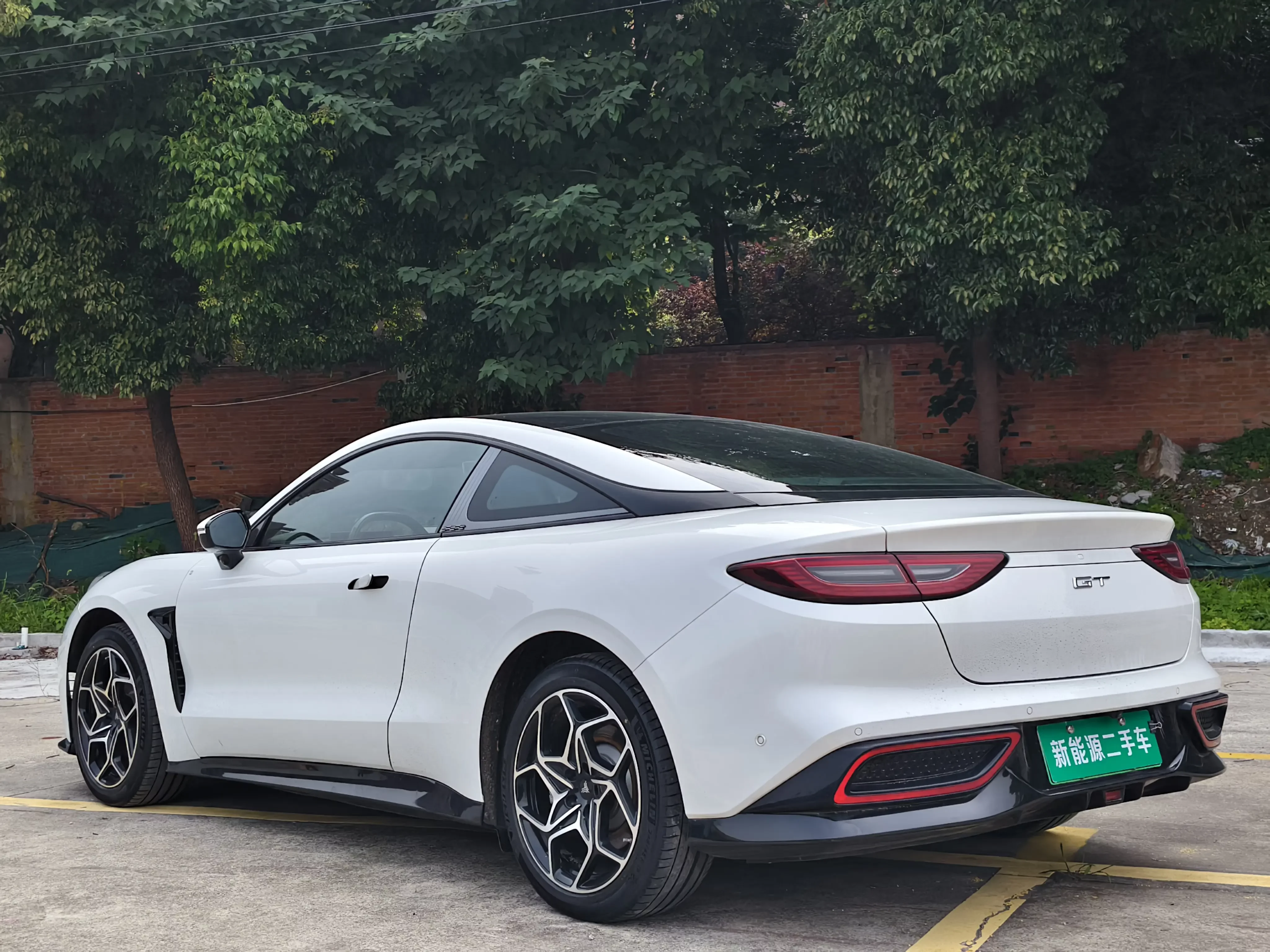 Hozon Neta GT