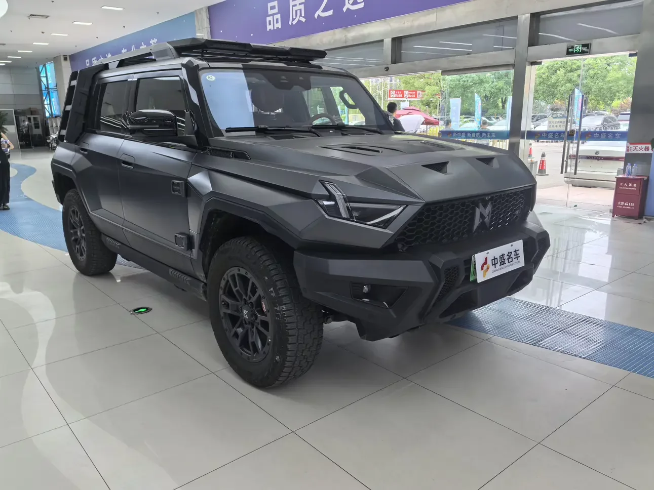 Mengshi Warrior 917