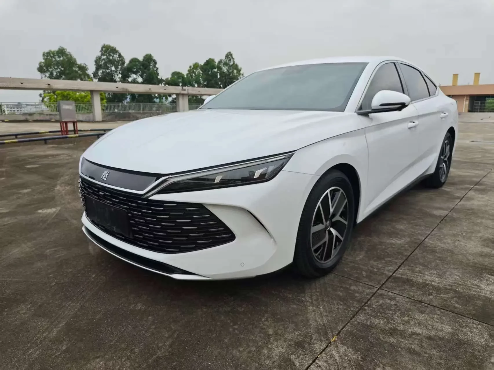 BYD Qin L DM