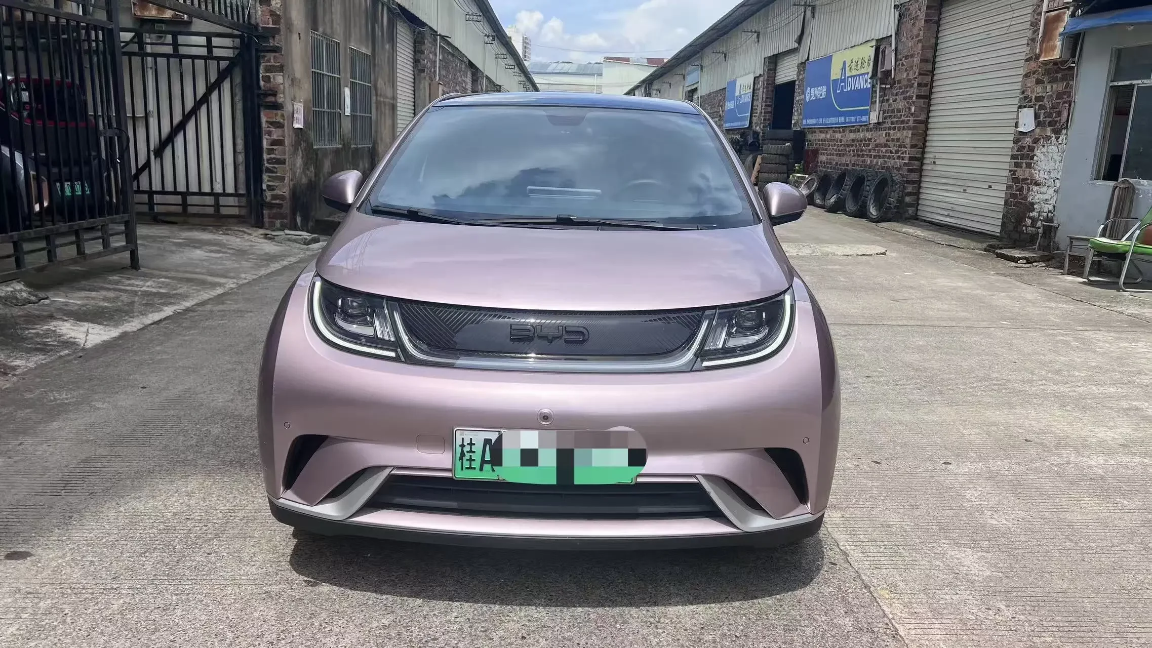 BYD dolphin