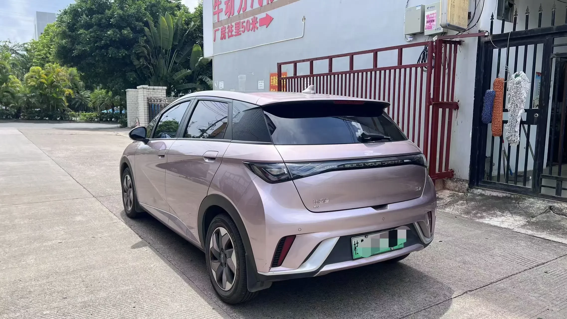 BYD dolphin