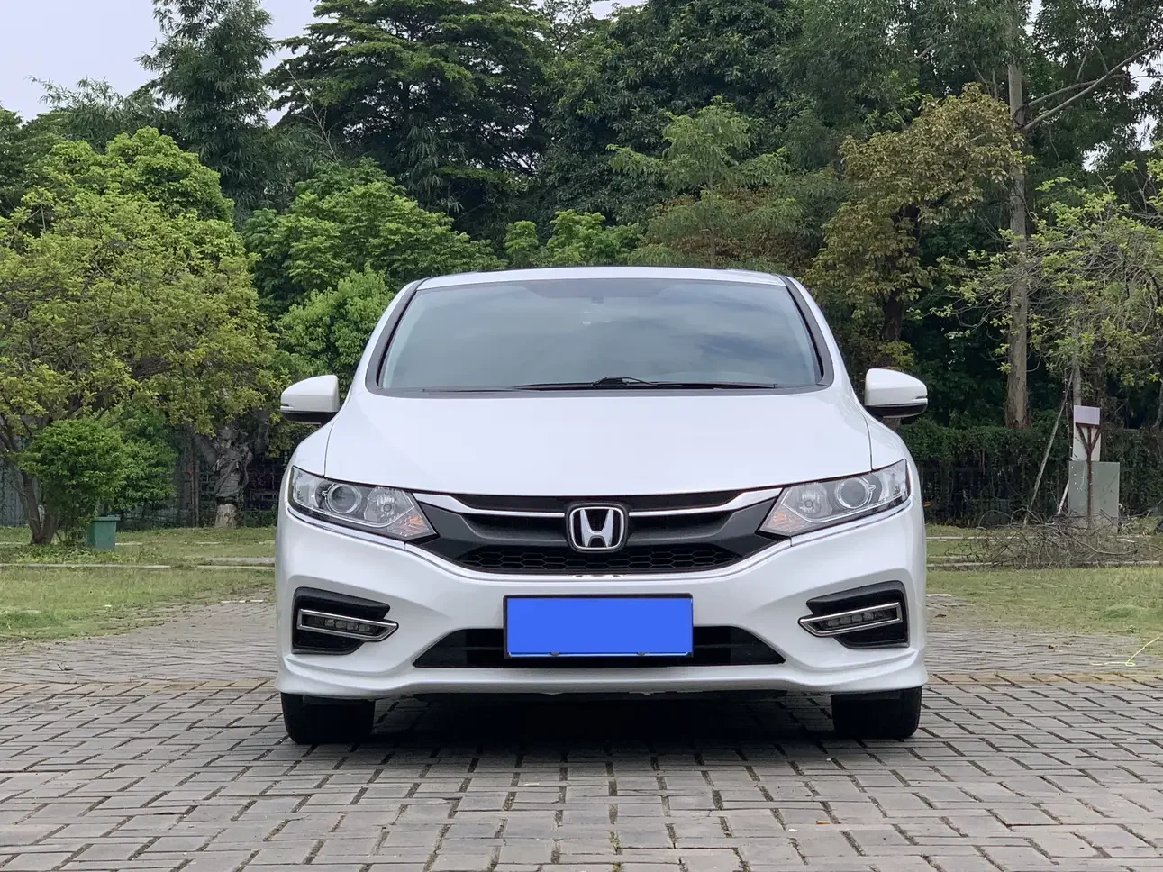 Honda Jed