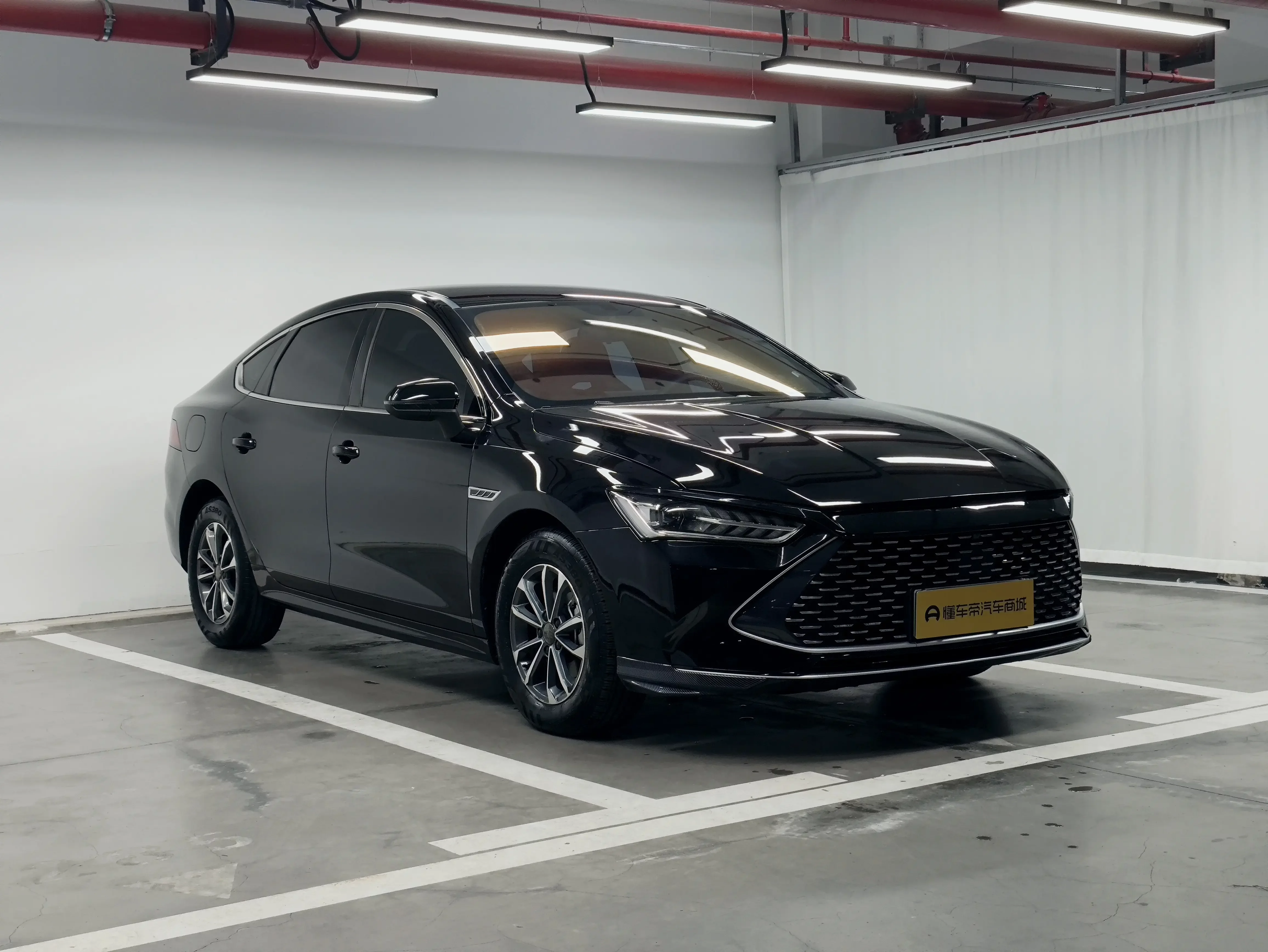 BYD Qin PLUS DM