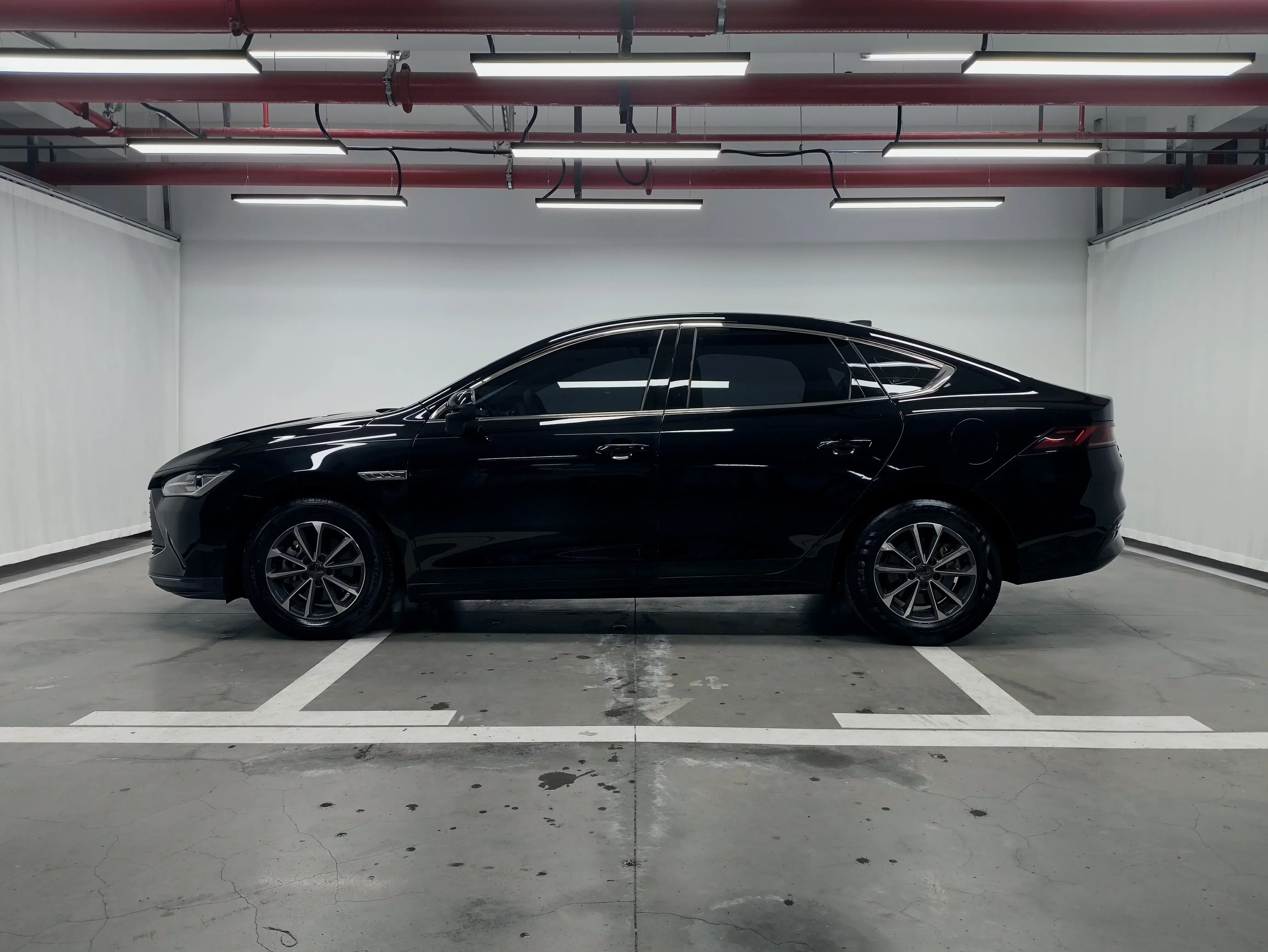 BYD Qin PLUS DM