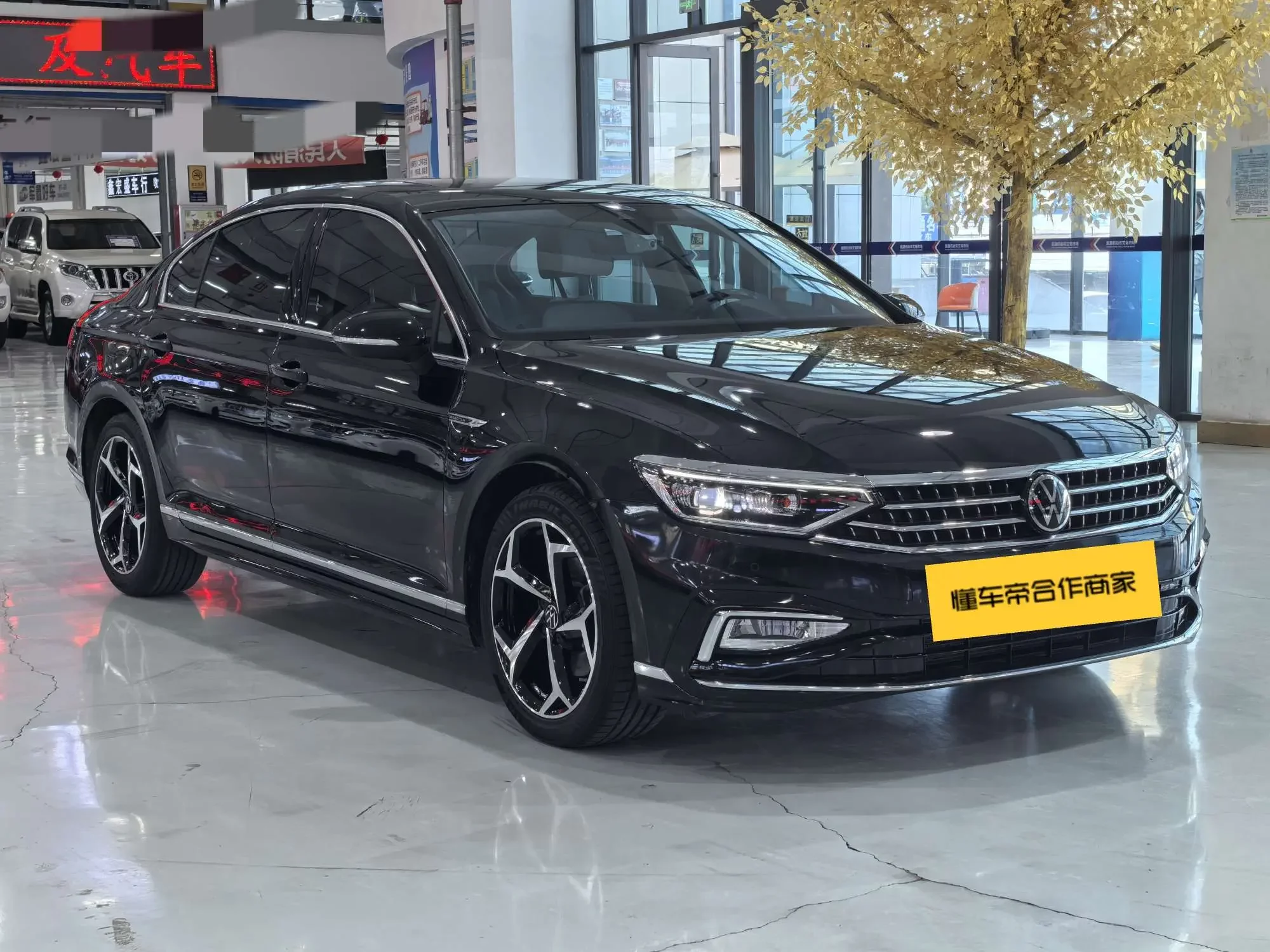 Volkswagen Magotan