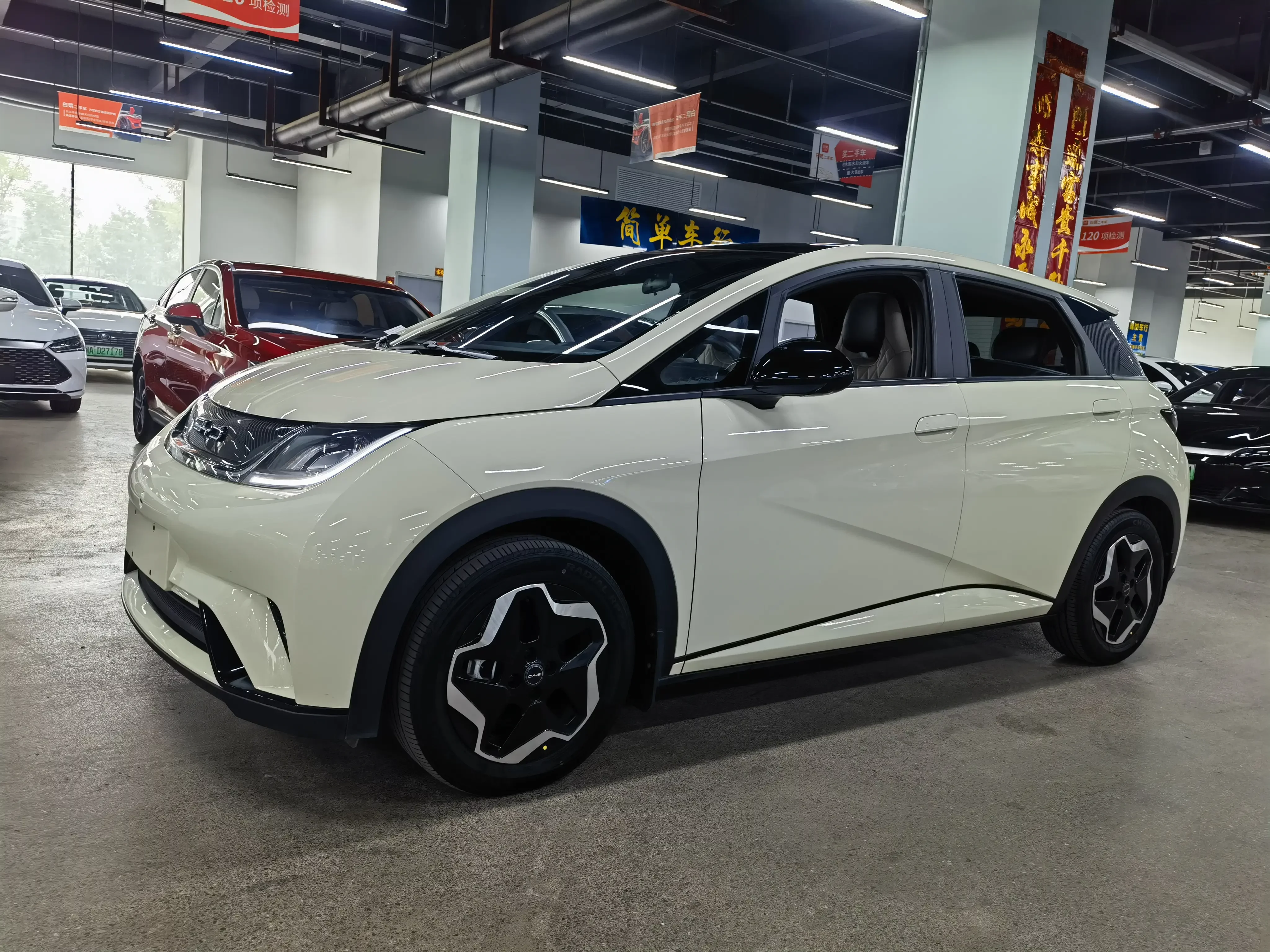 BYD dolphin