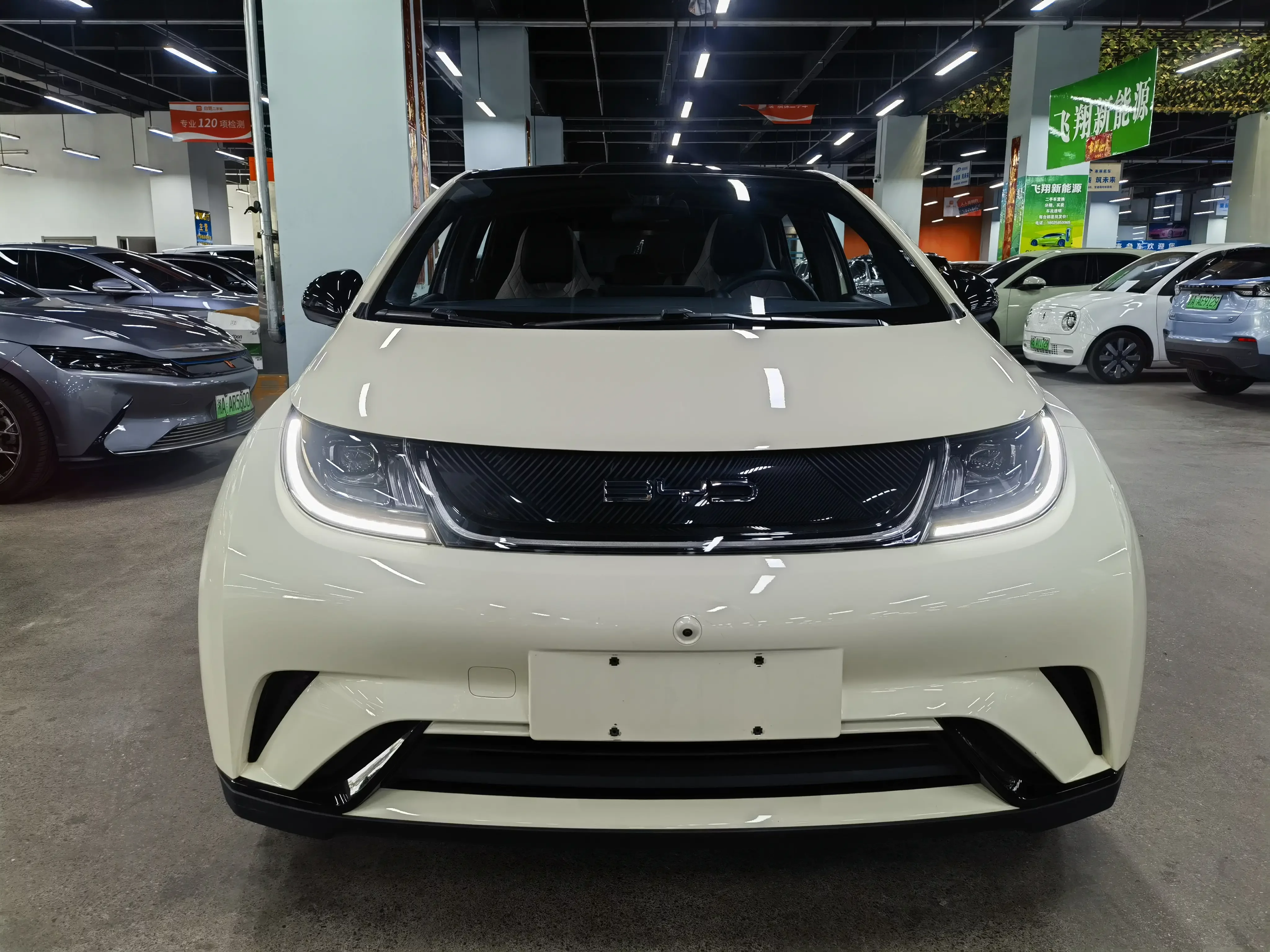 BYD dolphin