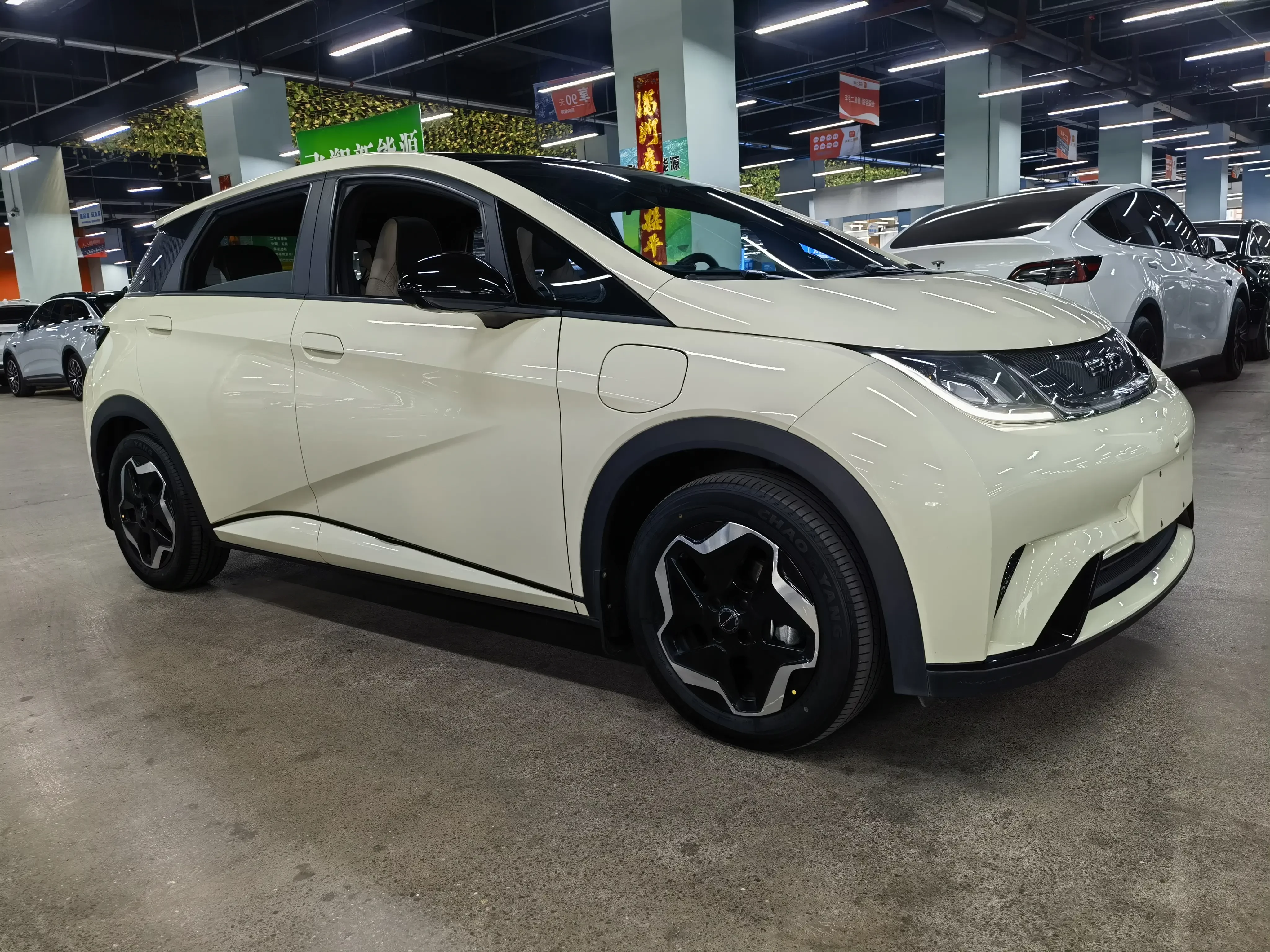 BYD dolphin
