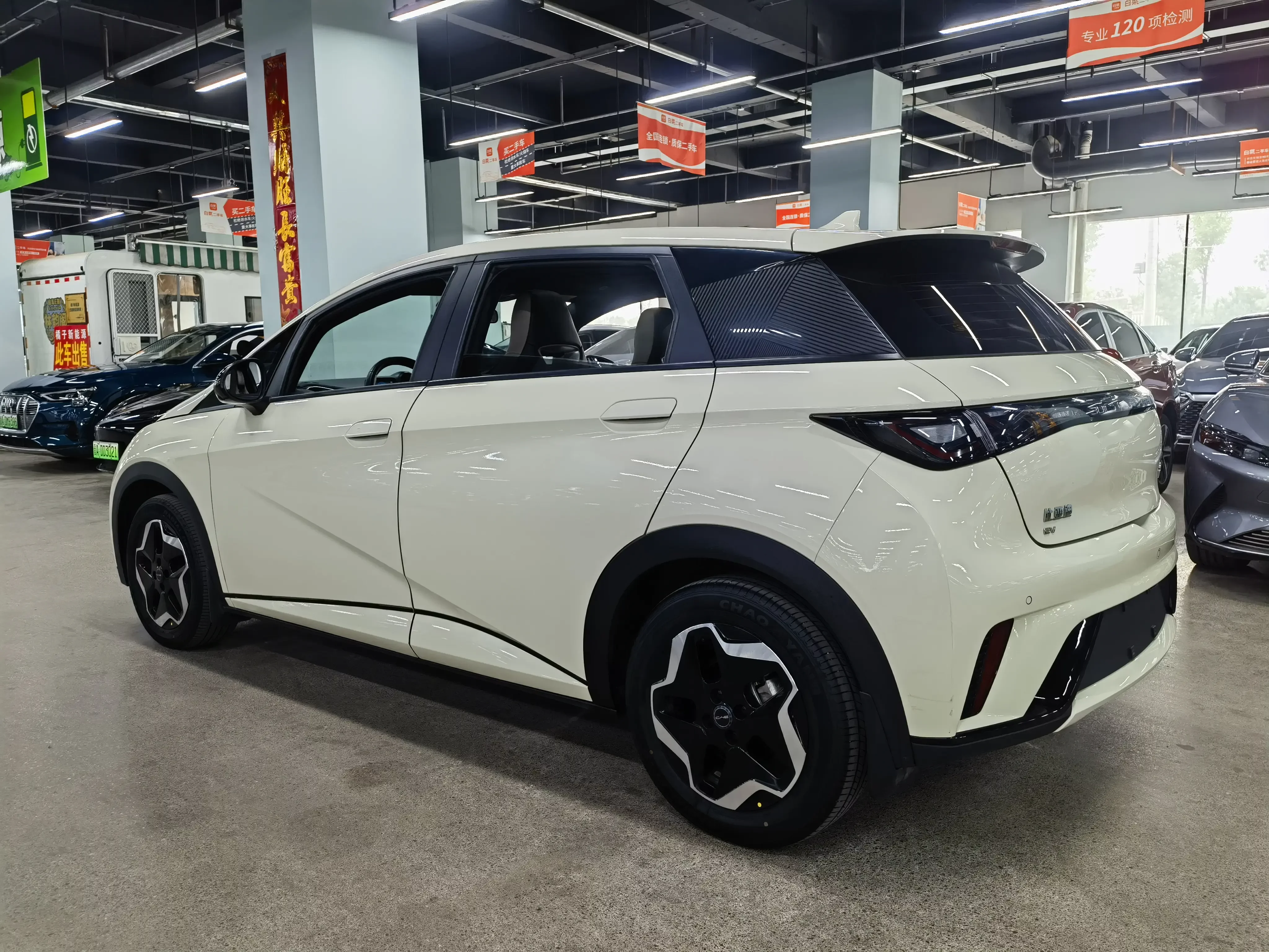 BYD dolphin