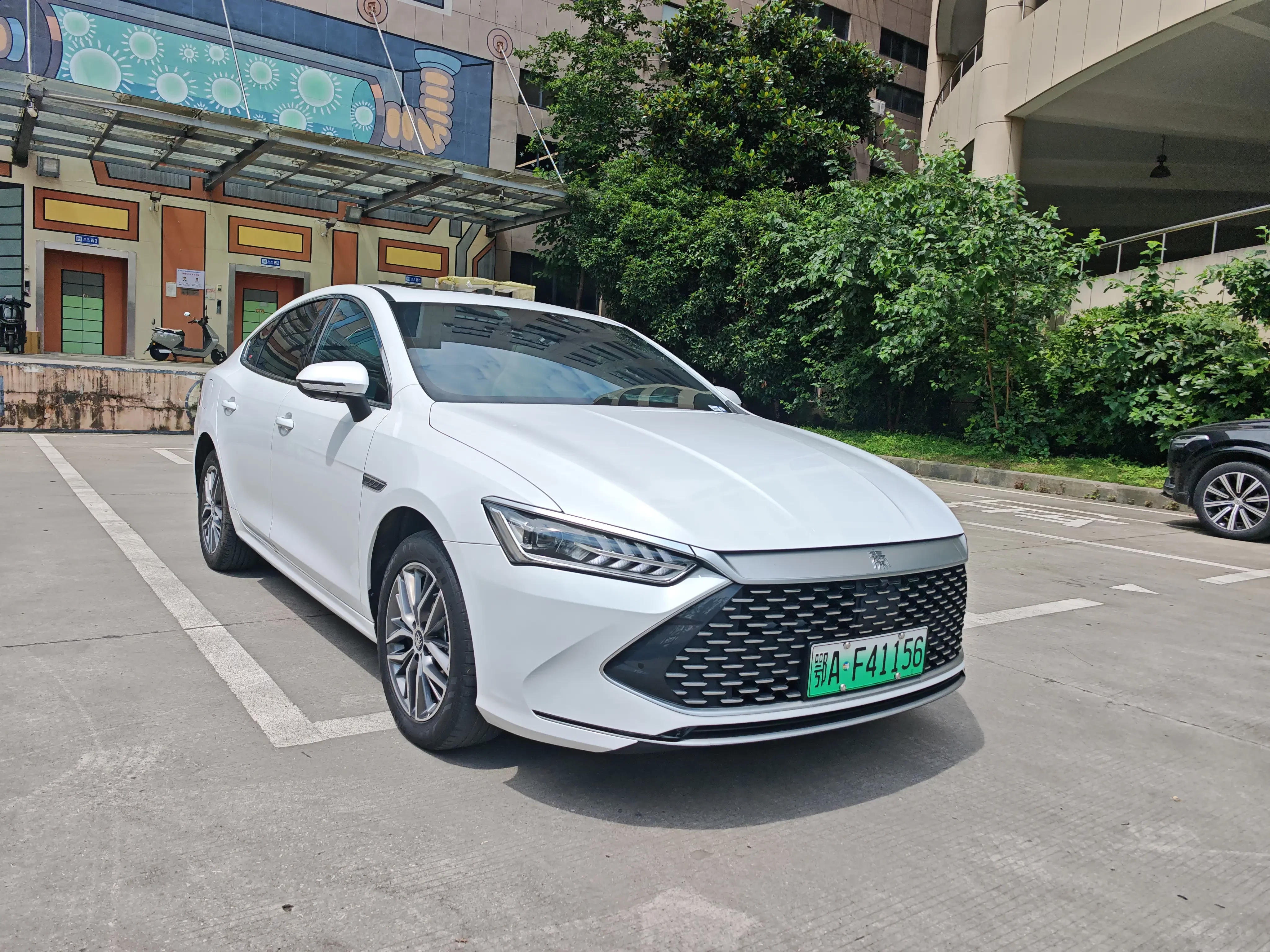 BYD Qin PLUS DM