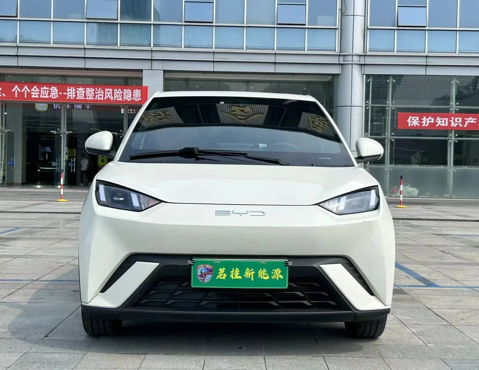 BYD seagull