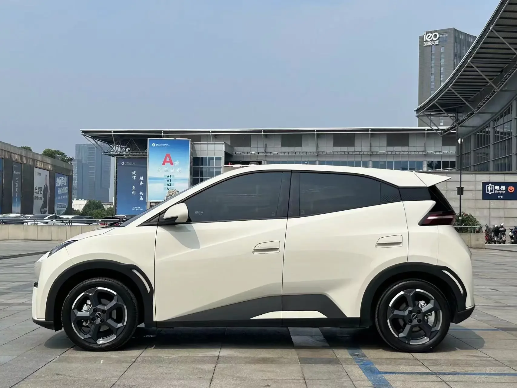BYD seagull