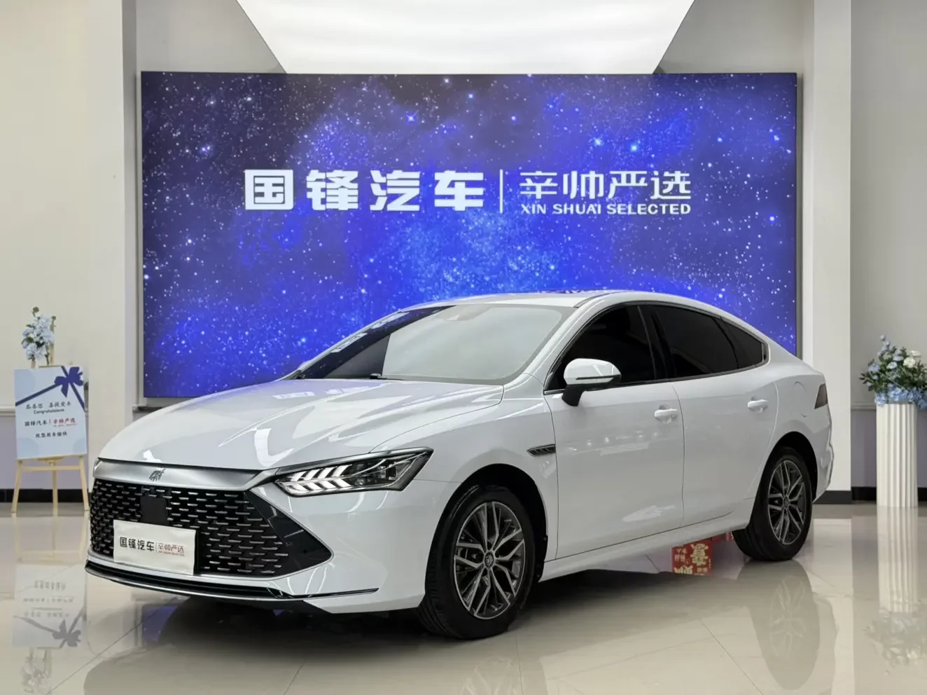 BYD Qin PLUS DM