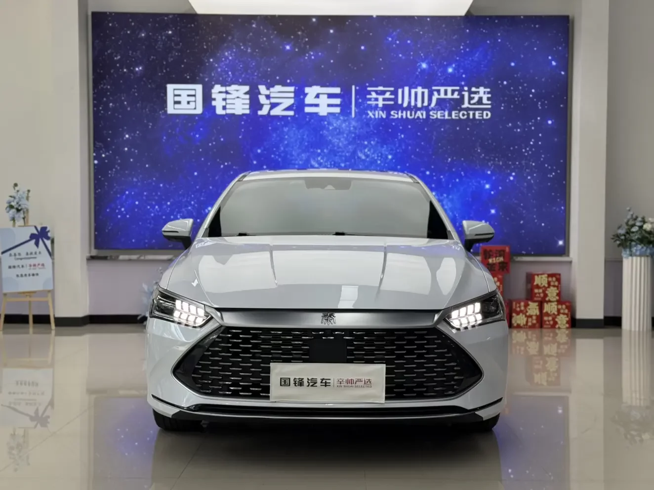 BYD Qin PLUS DM