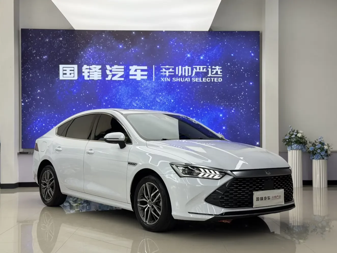 BYD Qin PLUS DM