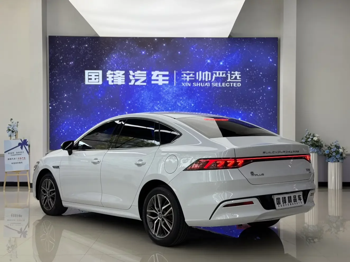 BYD Qin PLUS DM