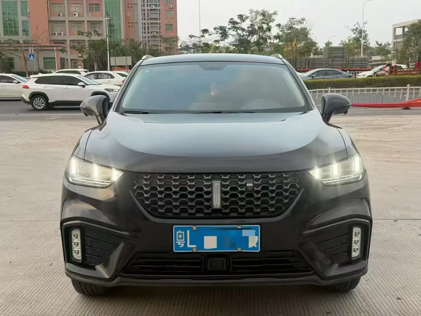 Wey Wei brand VV5