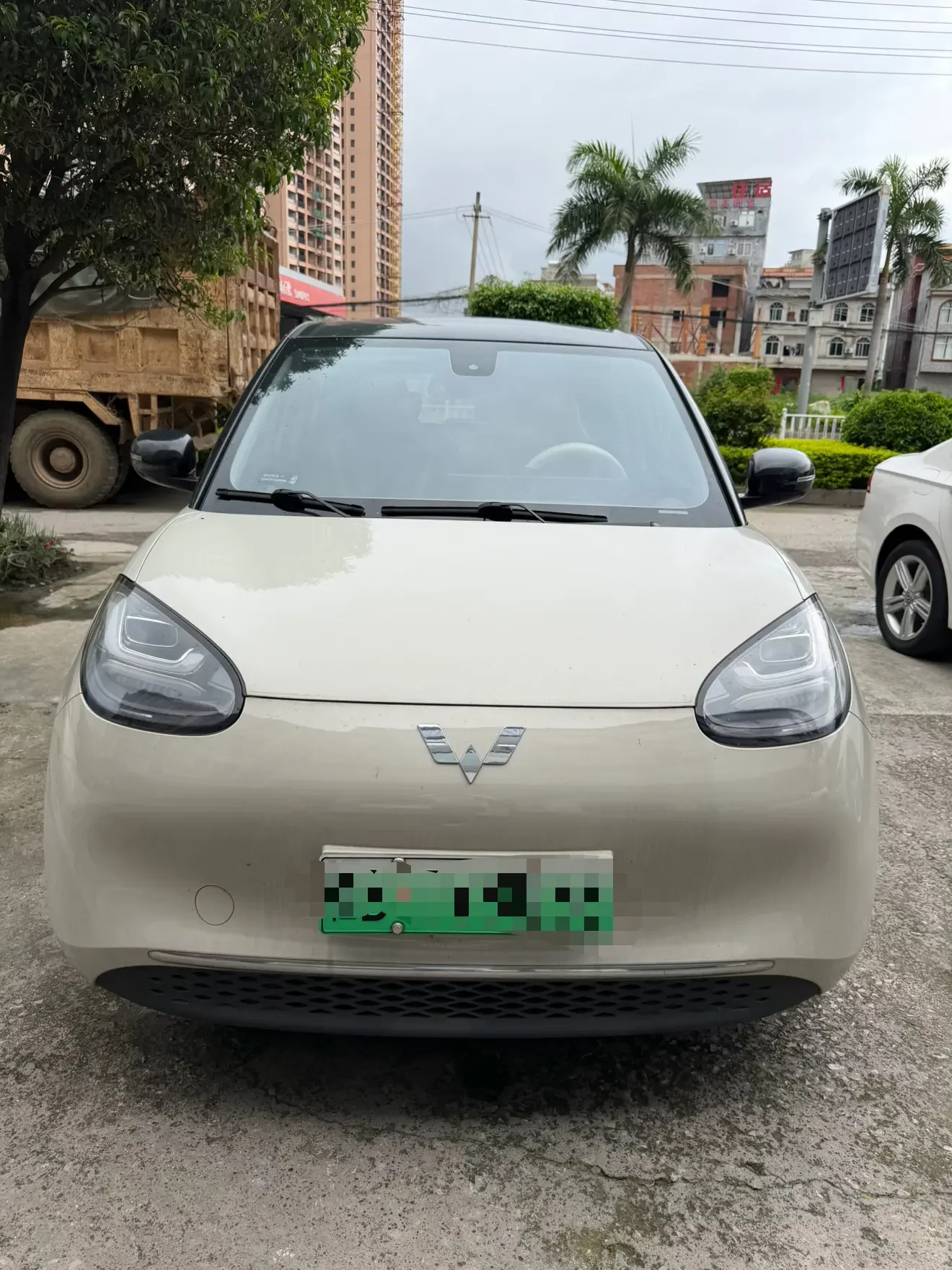 Wuling Bingo