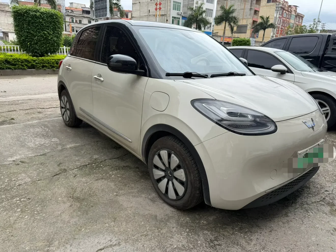 Wuling Bingo